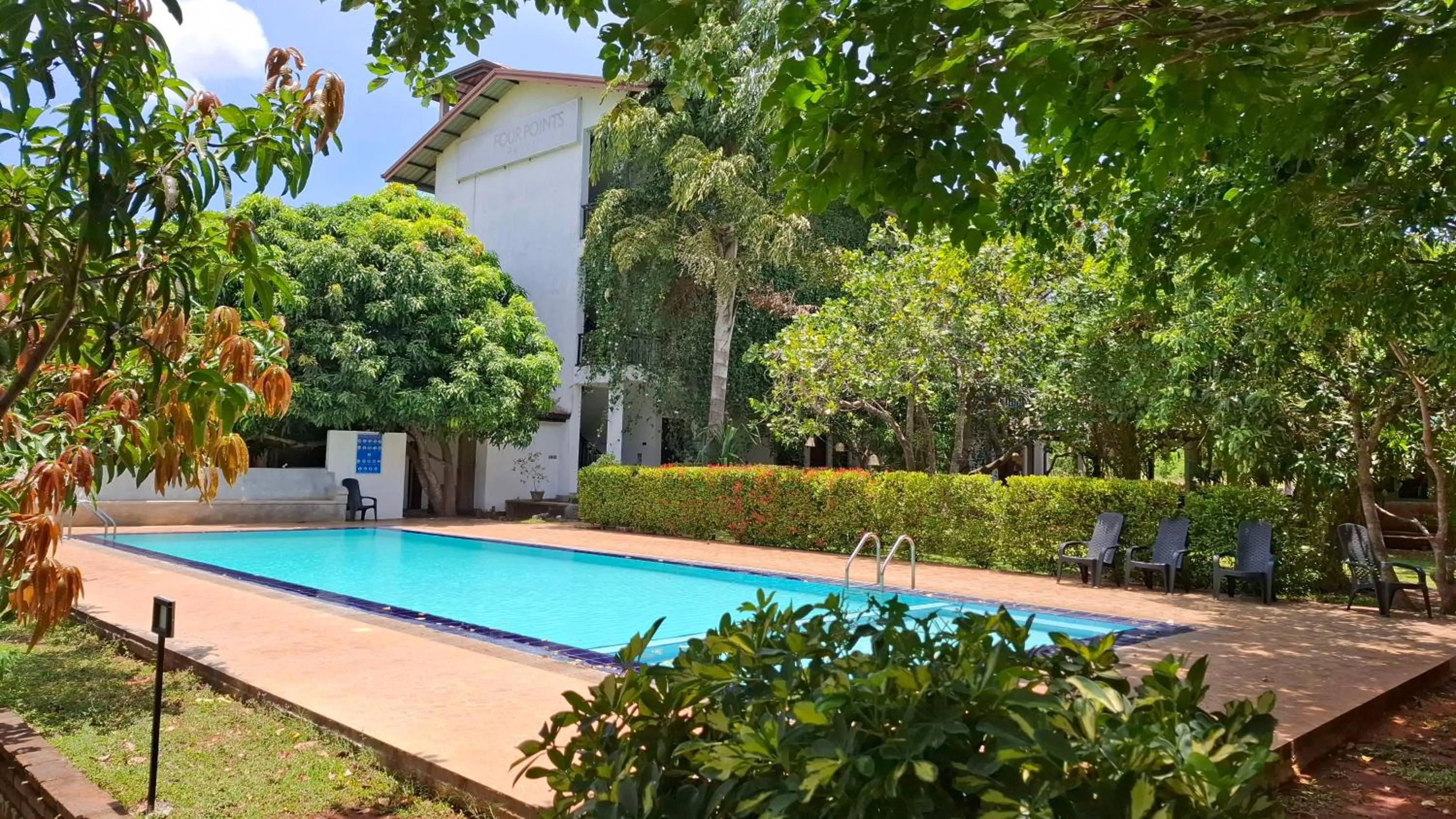 Swimming pool in Four Points Resort - Anuradhapura