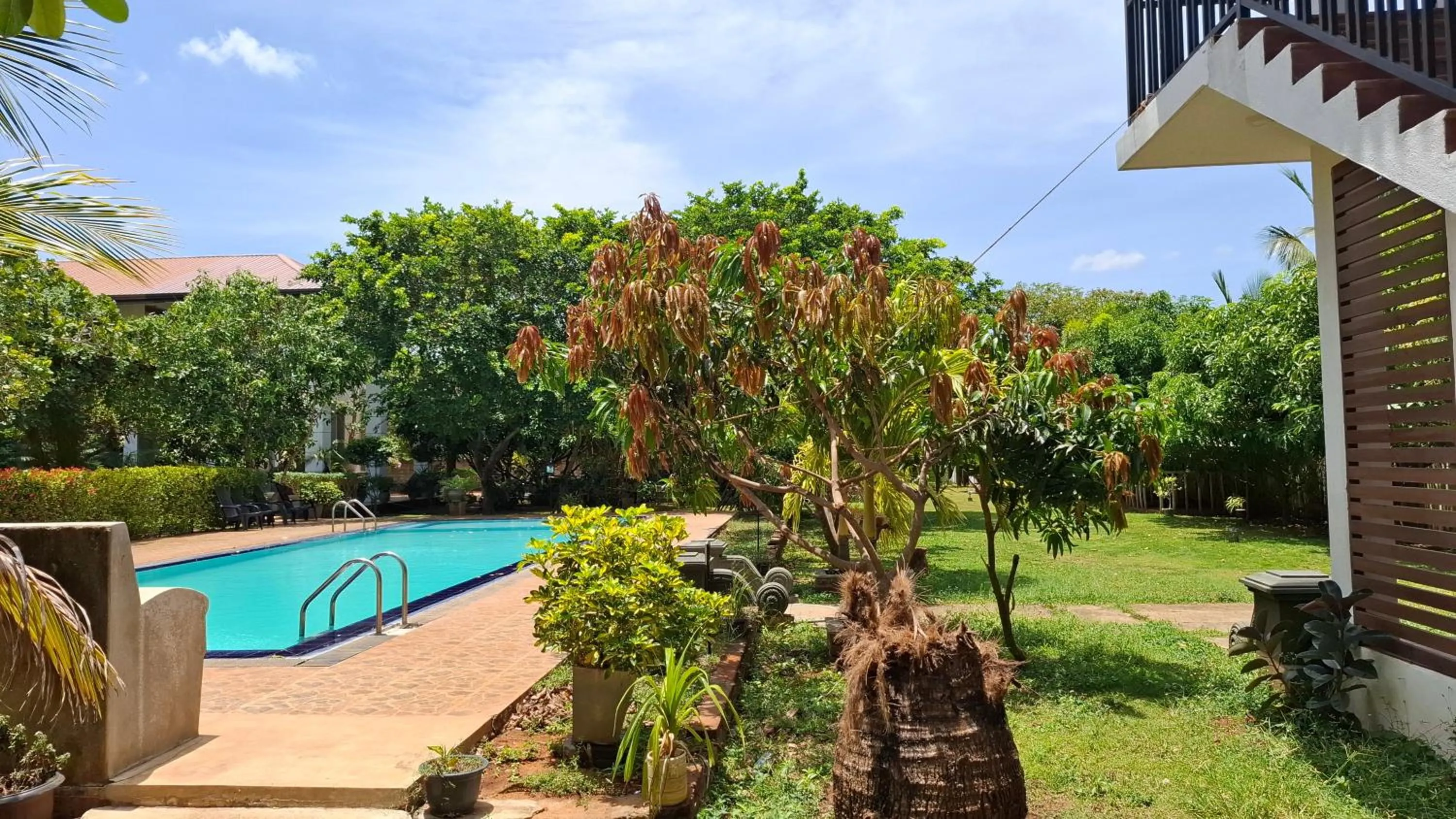 Swimming pool in Four Points Resort - Anuradhapura