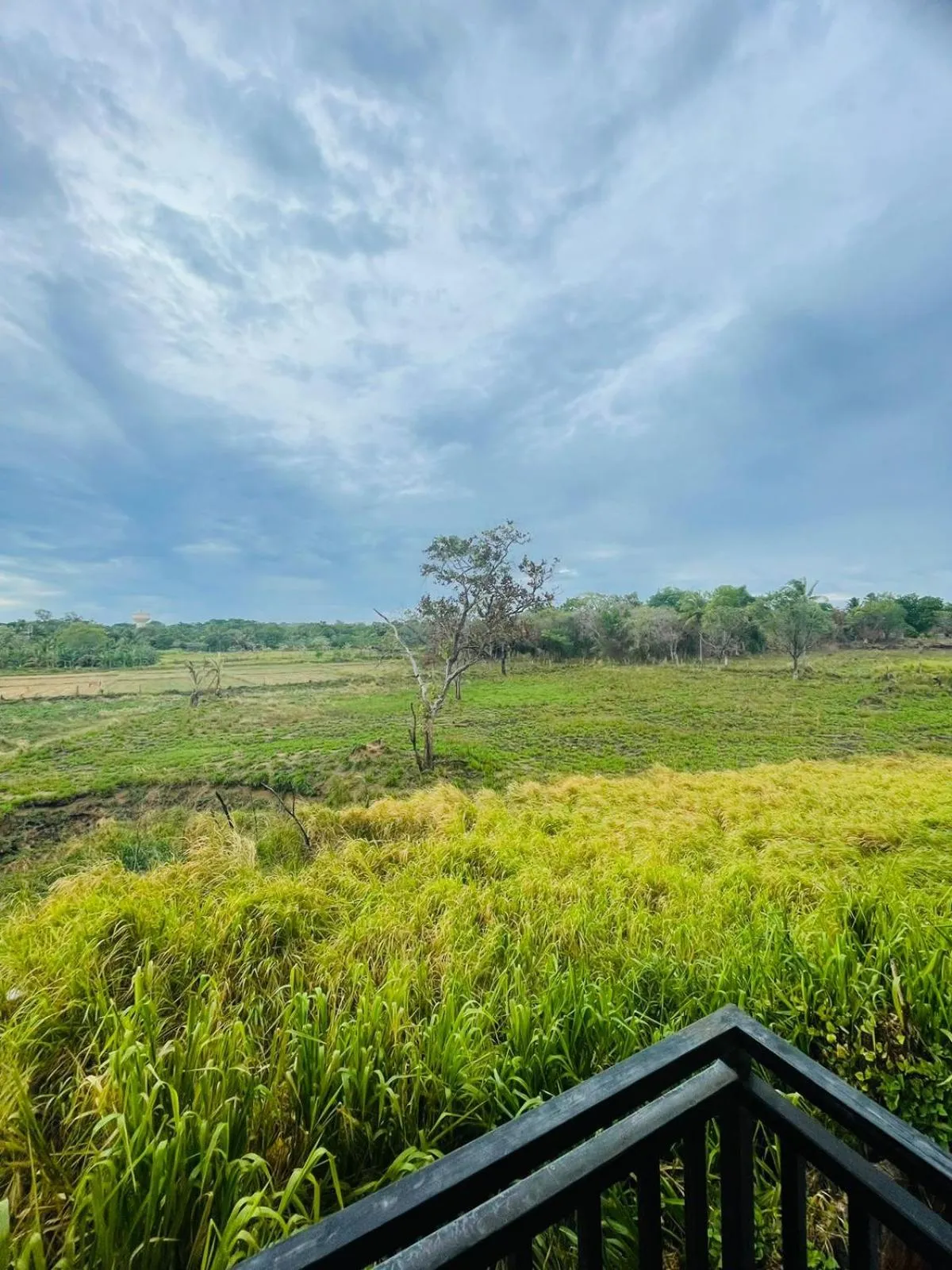 Day in Four Points Resort - Anuradhapura