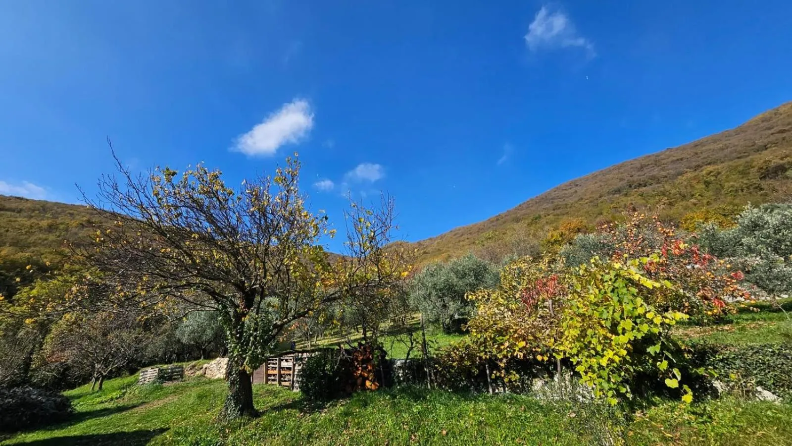 Mountain view in Poggio del Sole
