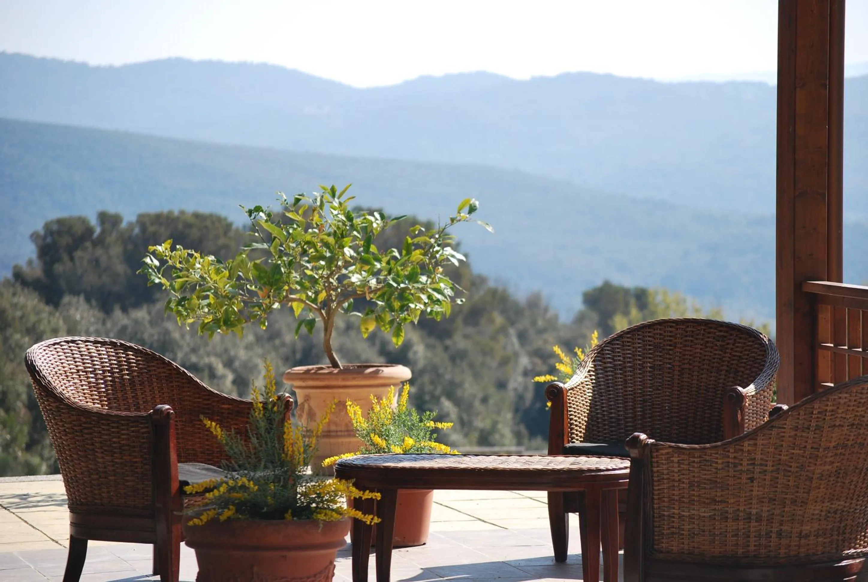 Erba Di Campo Residence