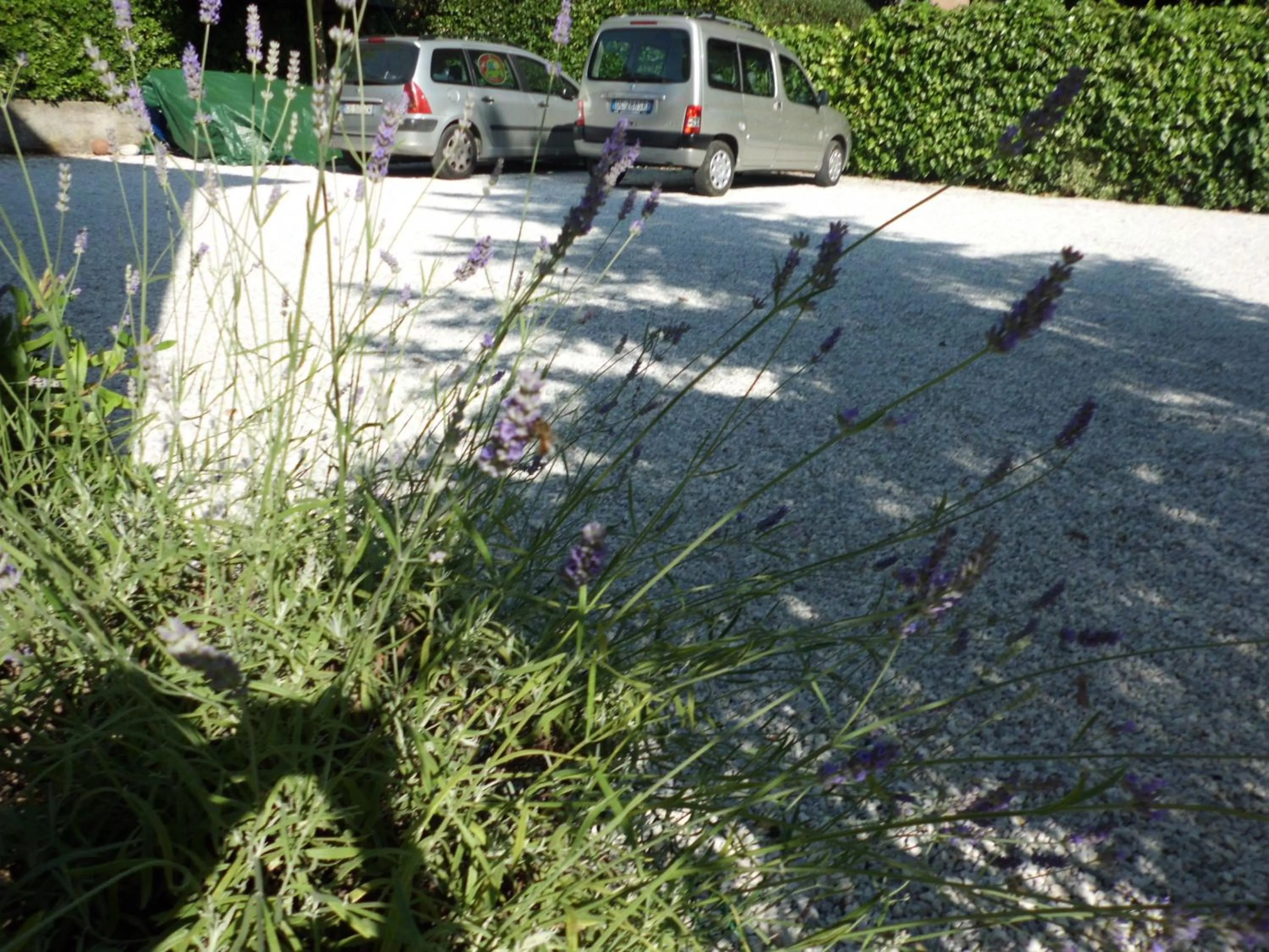 Facade/entrance in Hotel Verdesolemare
