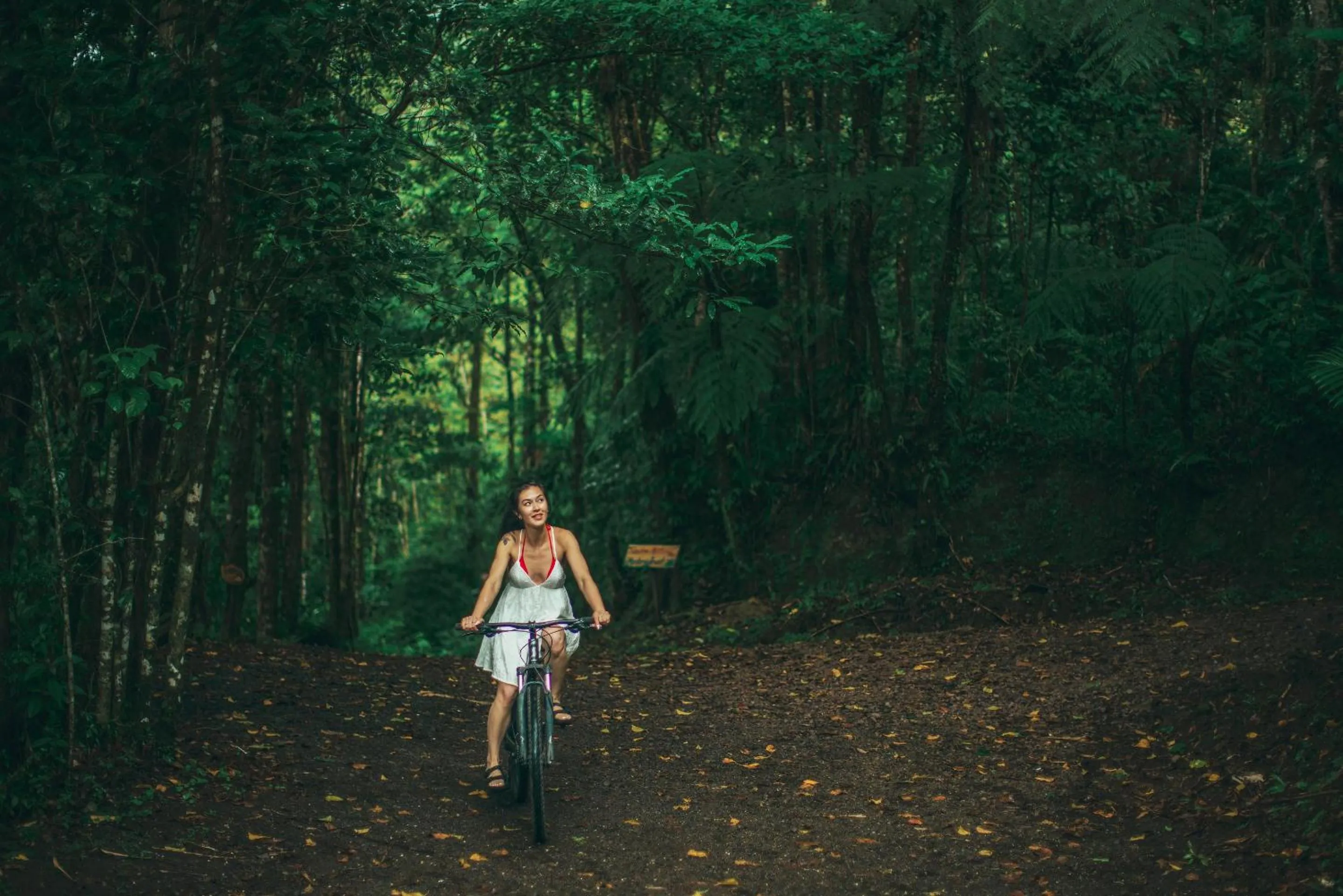 Natural landscape in El Silencio Lodge & Spa Costa Rica
