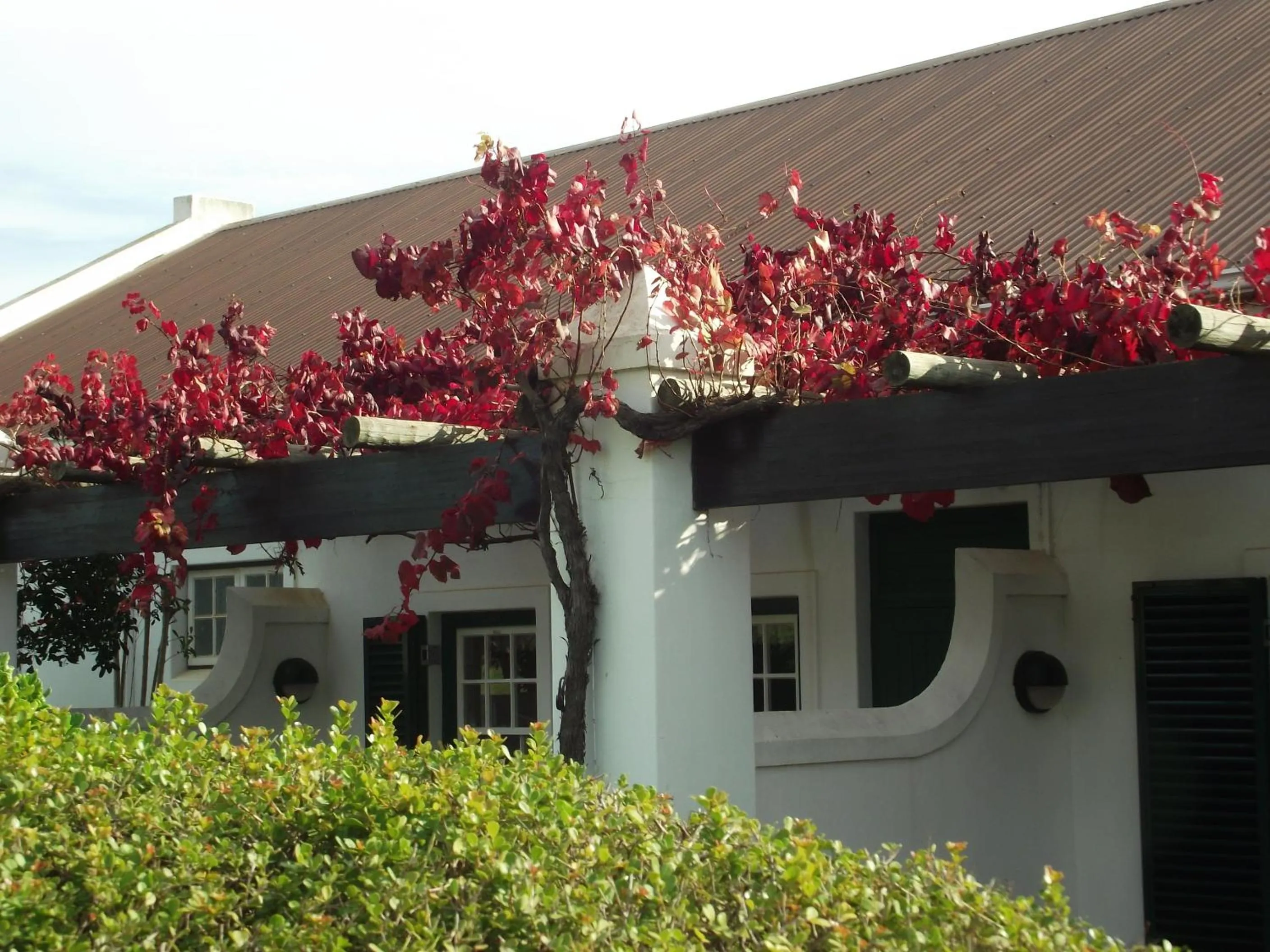 Balcony/Terrace in Eikendal Lodge