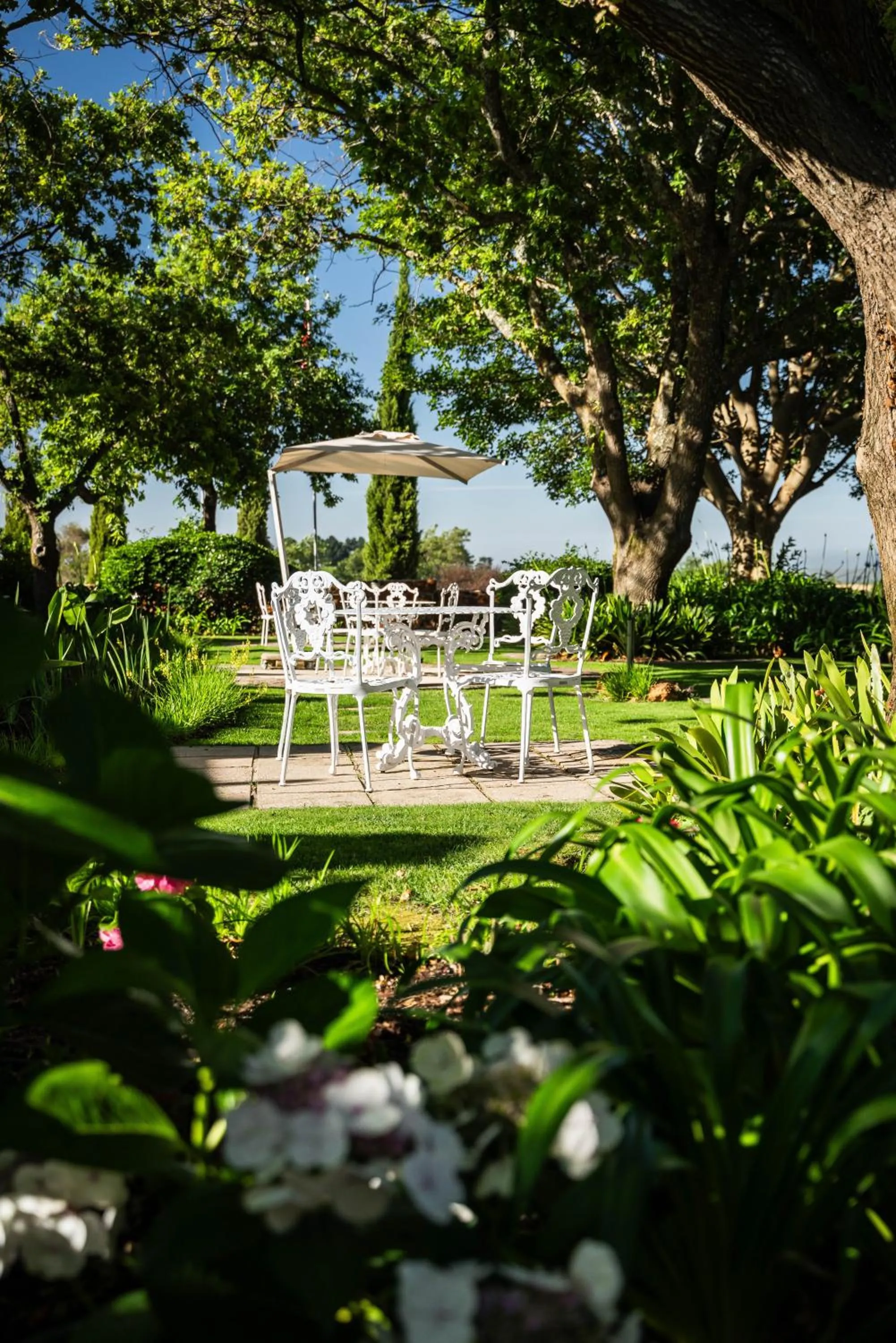 Garden in Eikendal Lodge