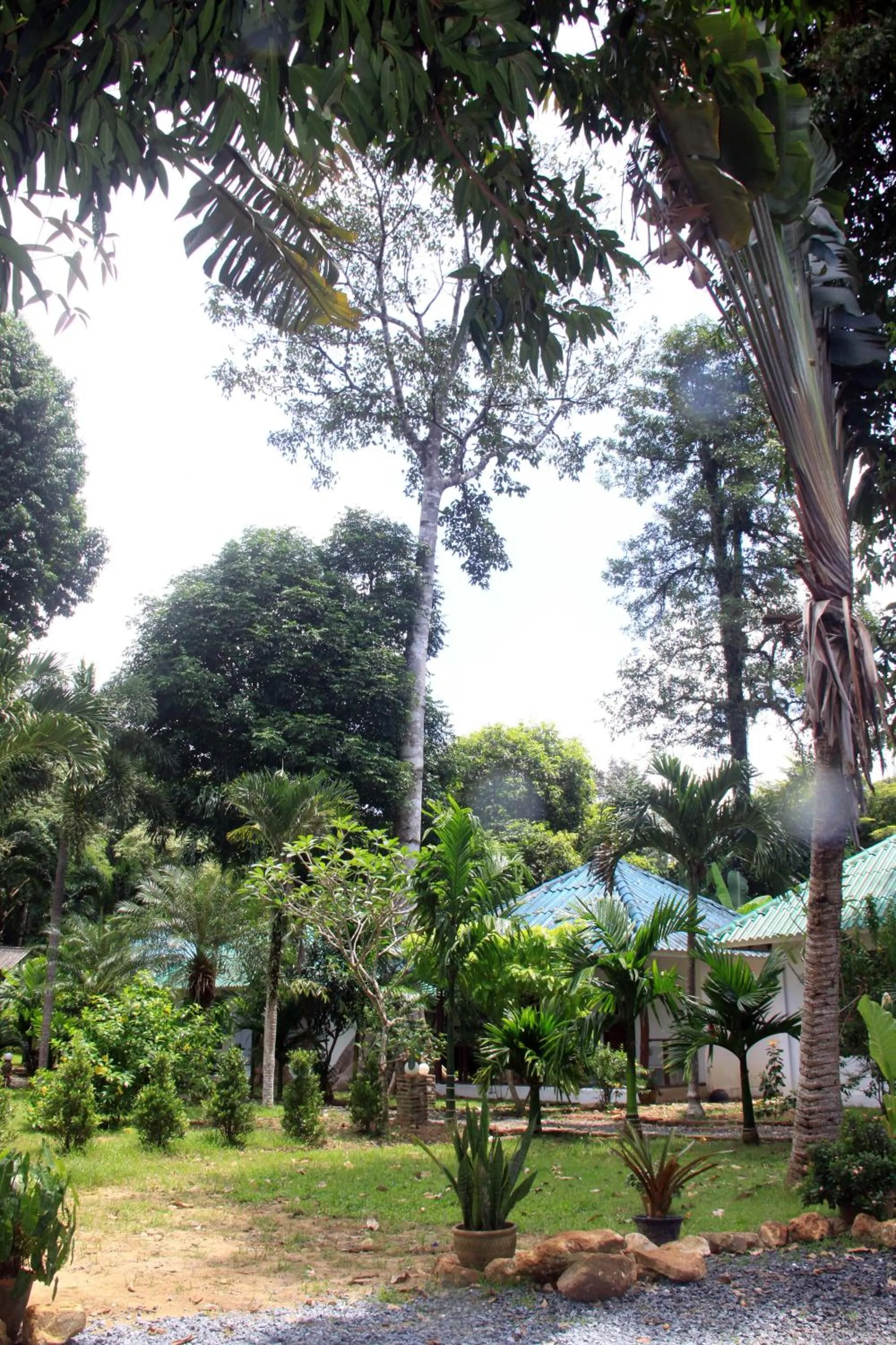 Garden in Tropical Paradise Leelawadee Resort