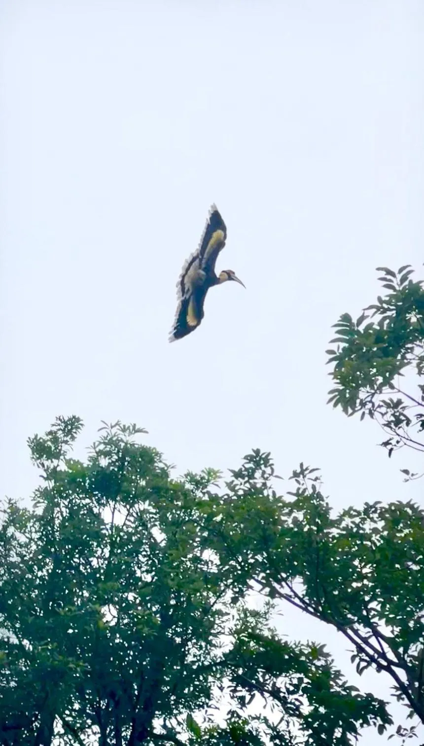 Garden in Tropical Paradise Leelawadee Resort