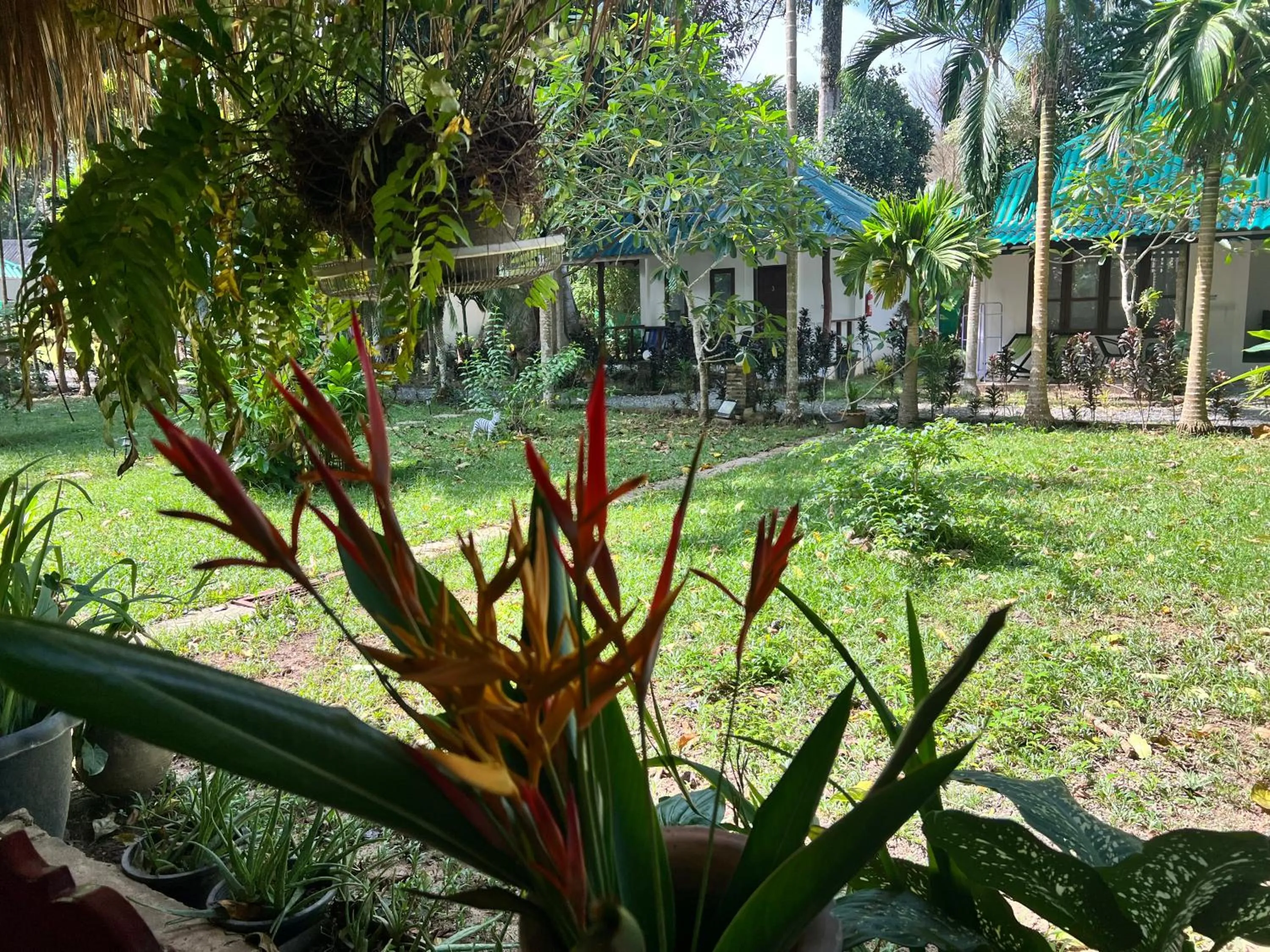 Garden in Tropical Paradise Leelawadee Resort