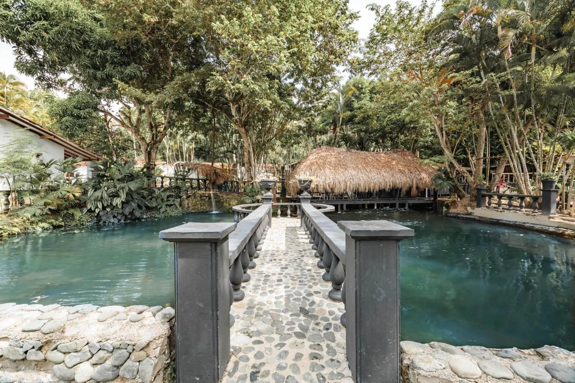 Natural landscape in Hotel Quimbaya