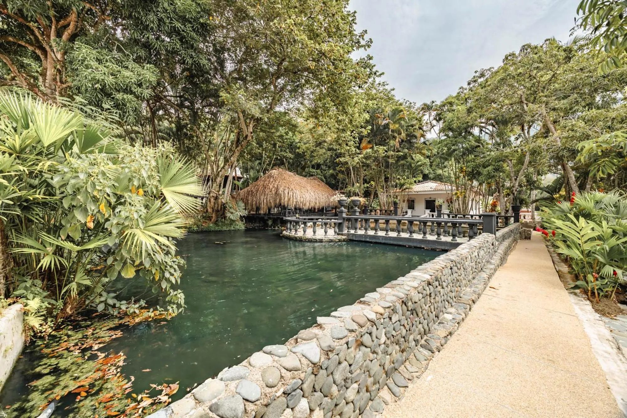 Natural landscape in Hotel Quimbaya