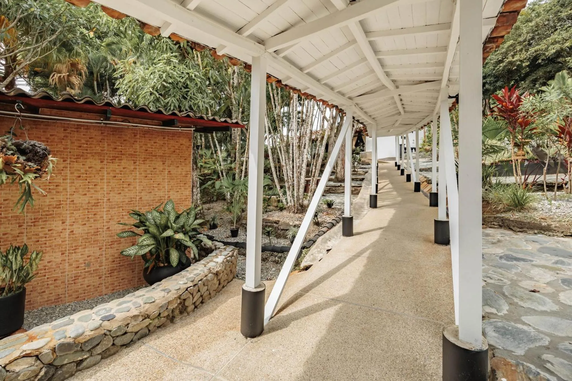 Garden in Hotel Quimbaya