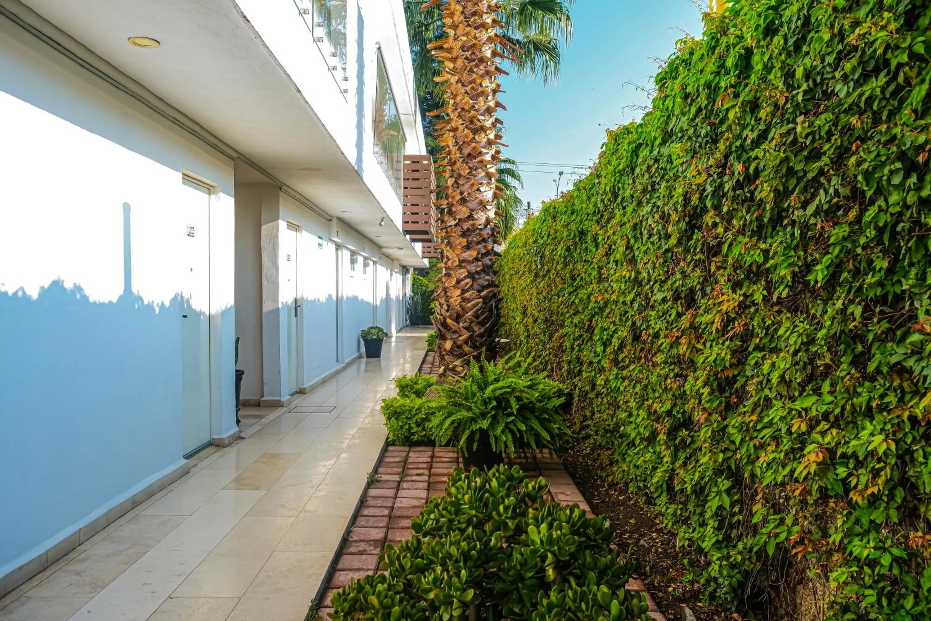 Garden view in Hotel St. George