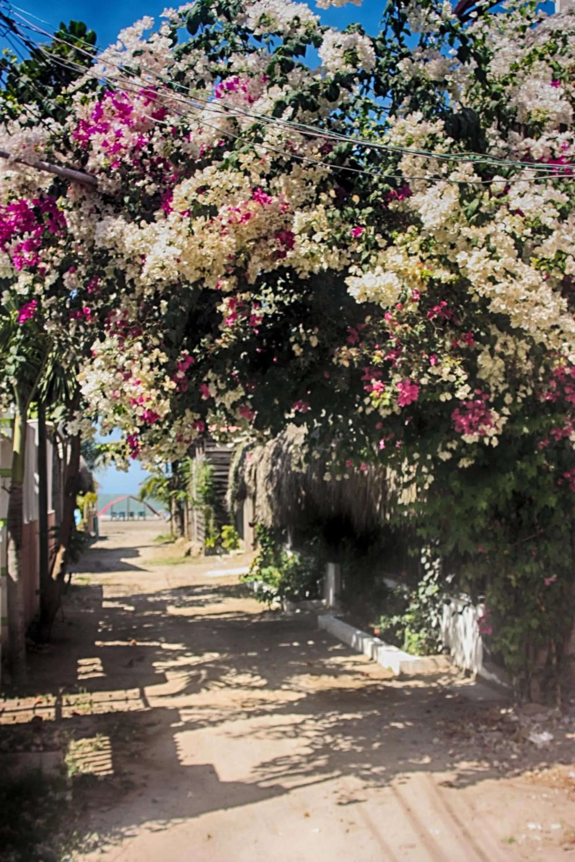 Property building in Casa Hotel Nurandy