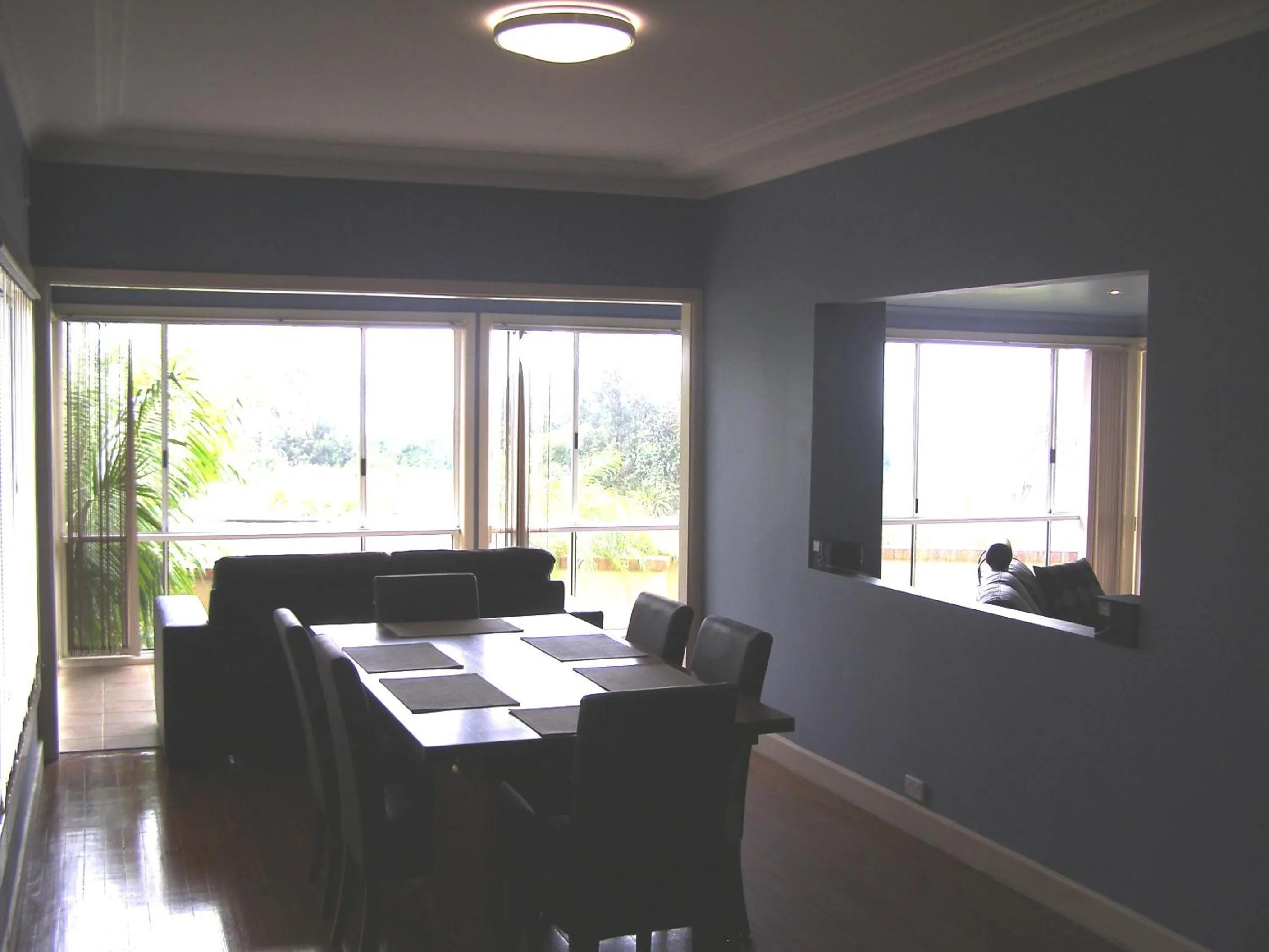 Day in Koala Tree Motel