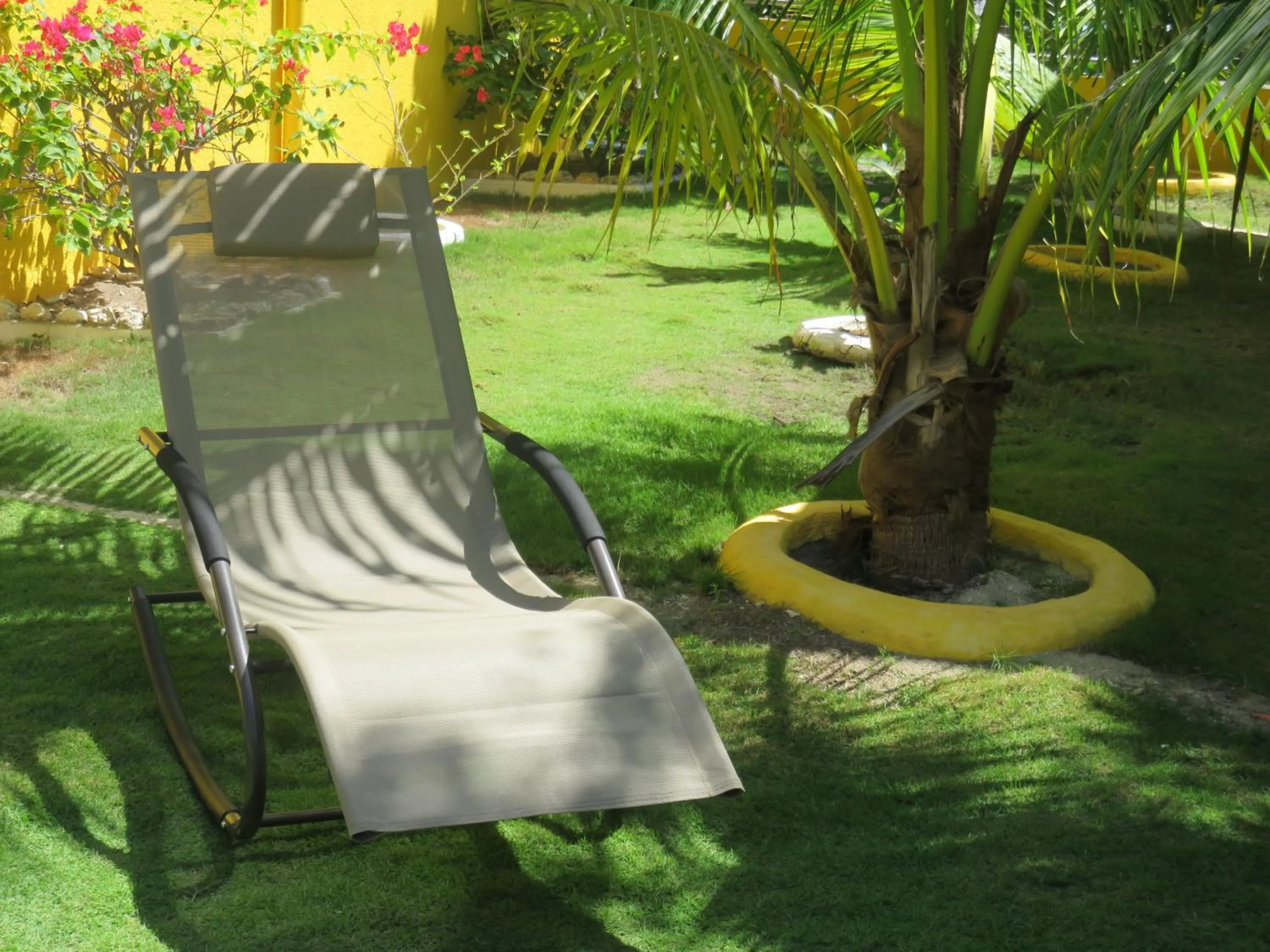 Garden in Malapascua Garden Resort