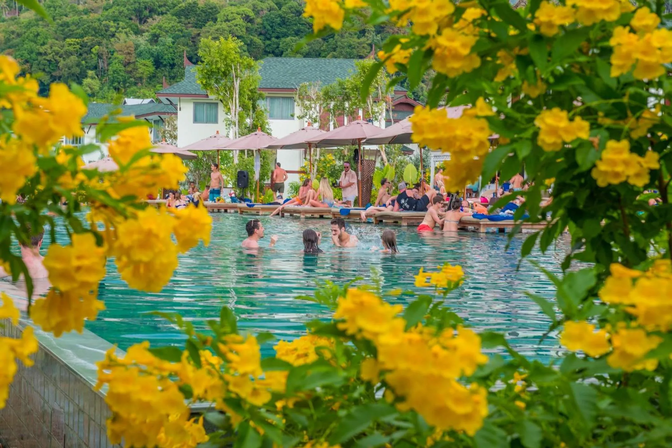Pool view in PP Charlie Beach Resort
