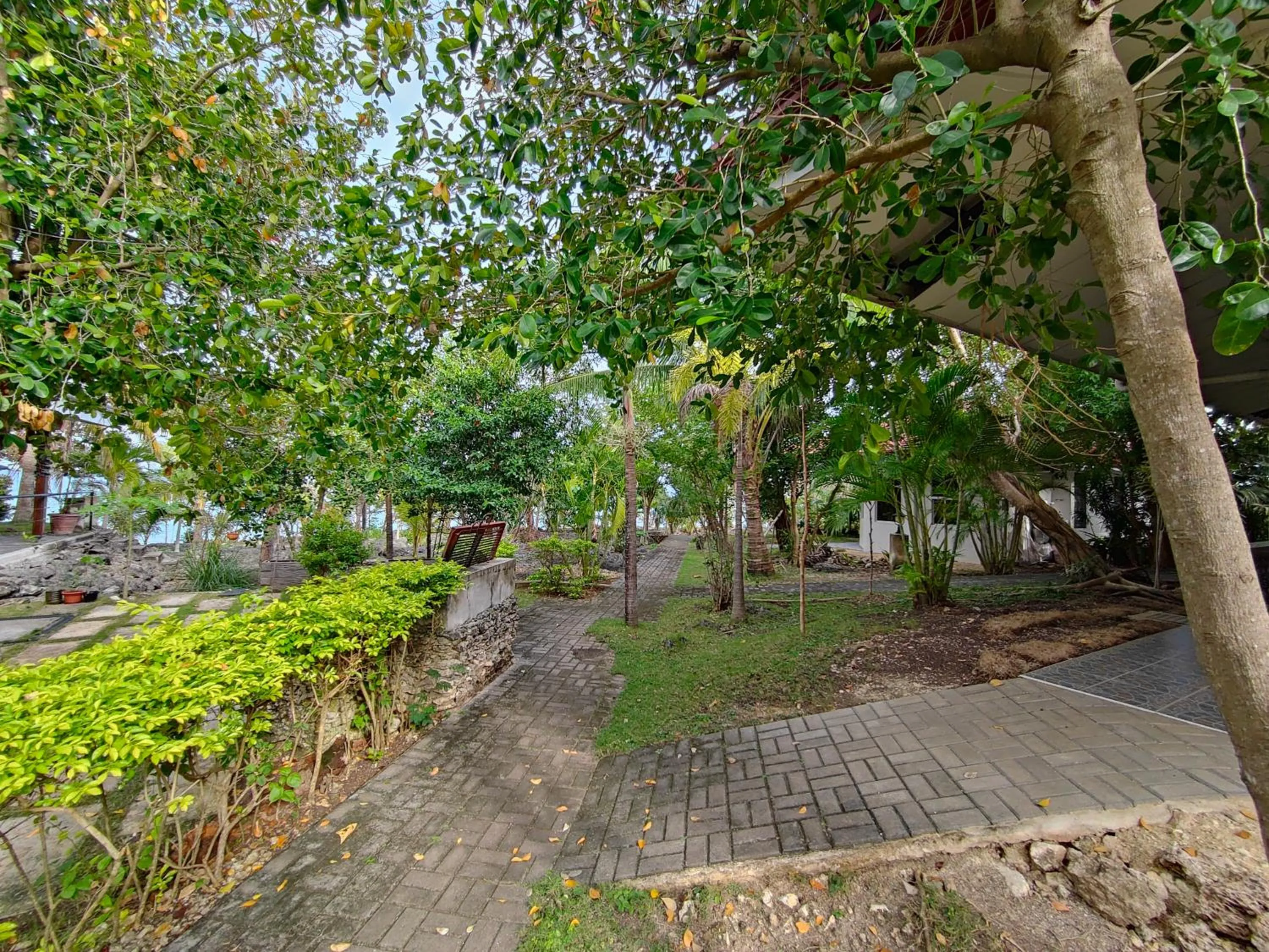 Garden in Meili Beach Resort