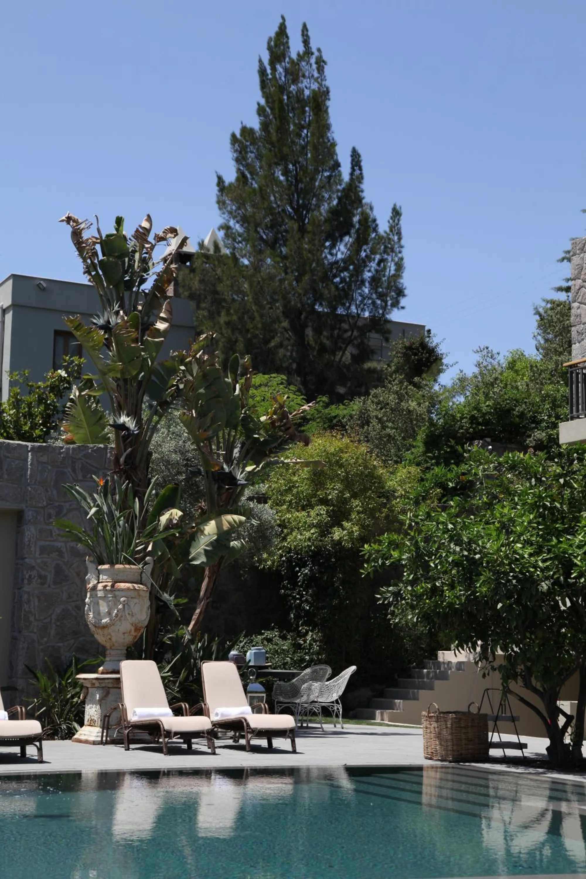 Swimming pool in Bella Sombra Hotel