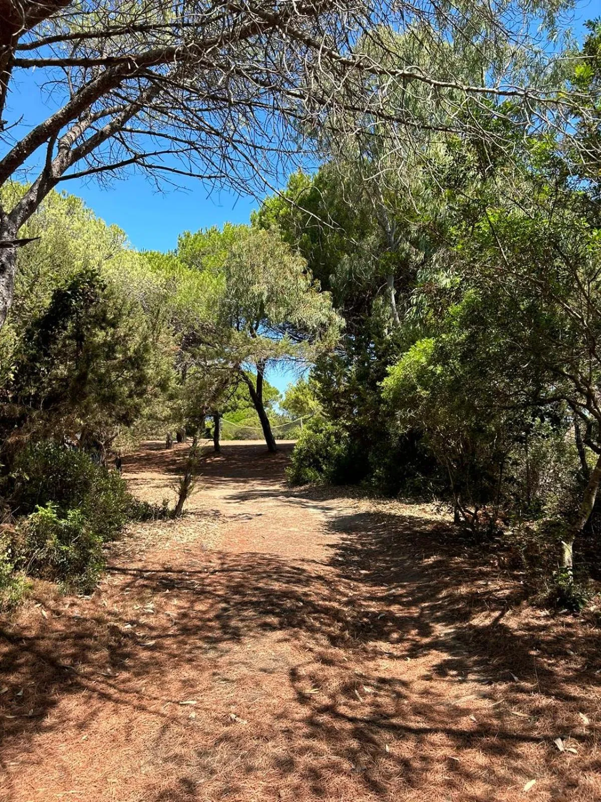 Nearby landmark in Hotel Cala Mirto