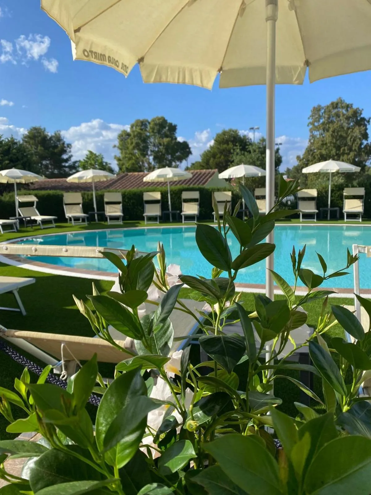 Swimming pool in Hotel Cala Mirto