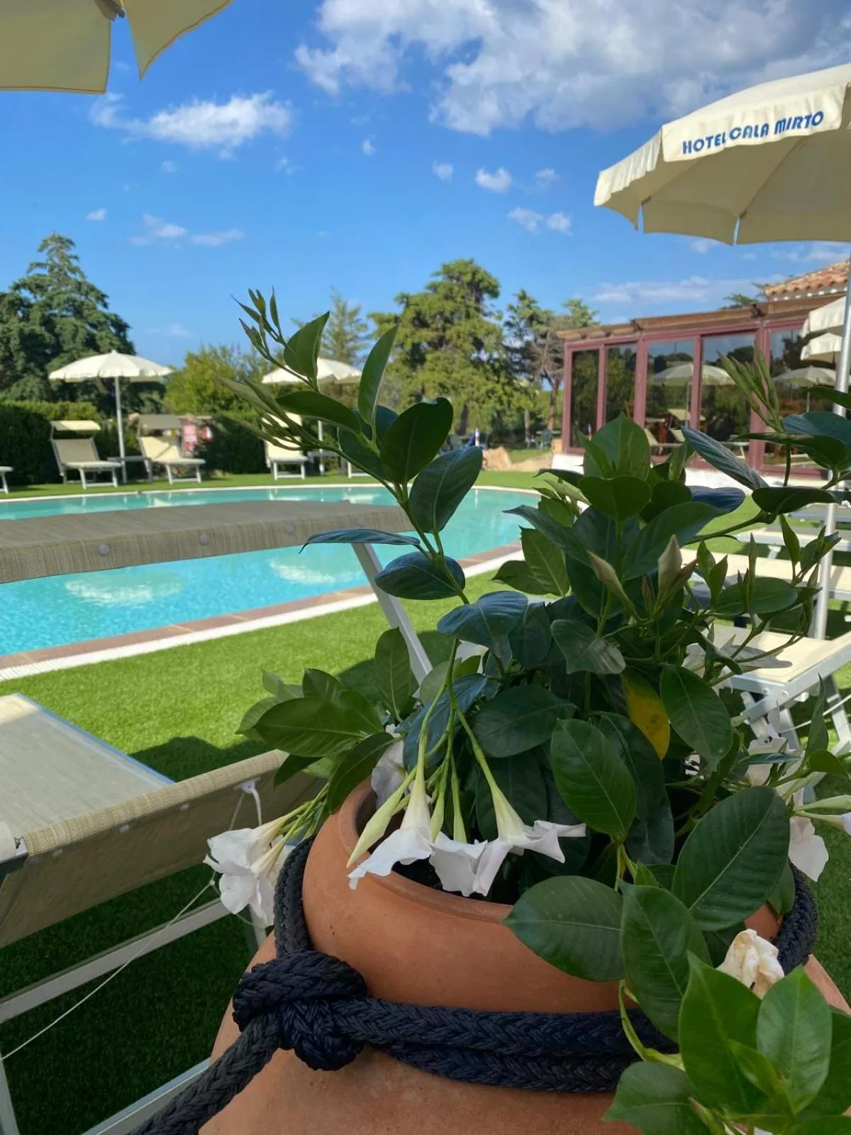 Swimming pool in Hotel Cala Mirto