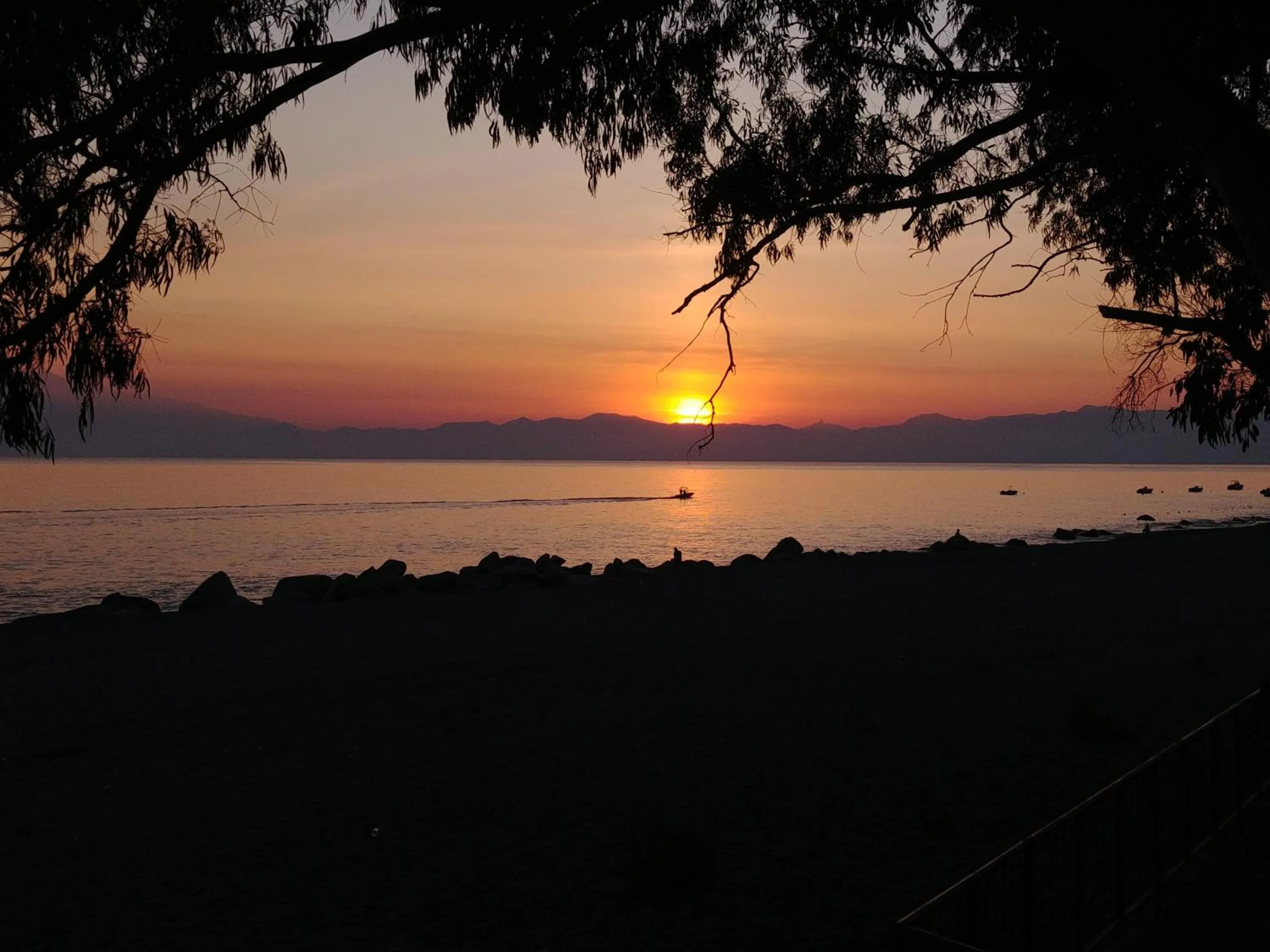 Area and facilities in B&B Nereidi