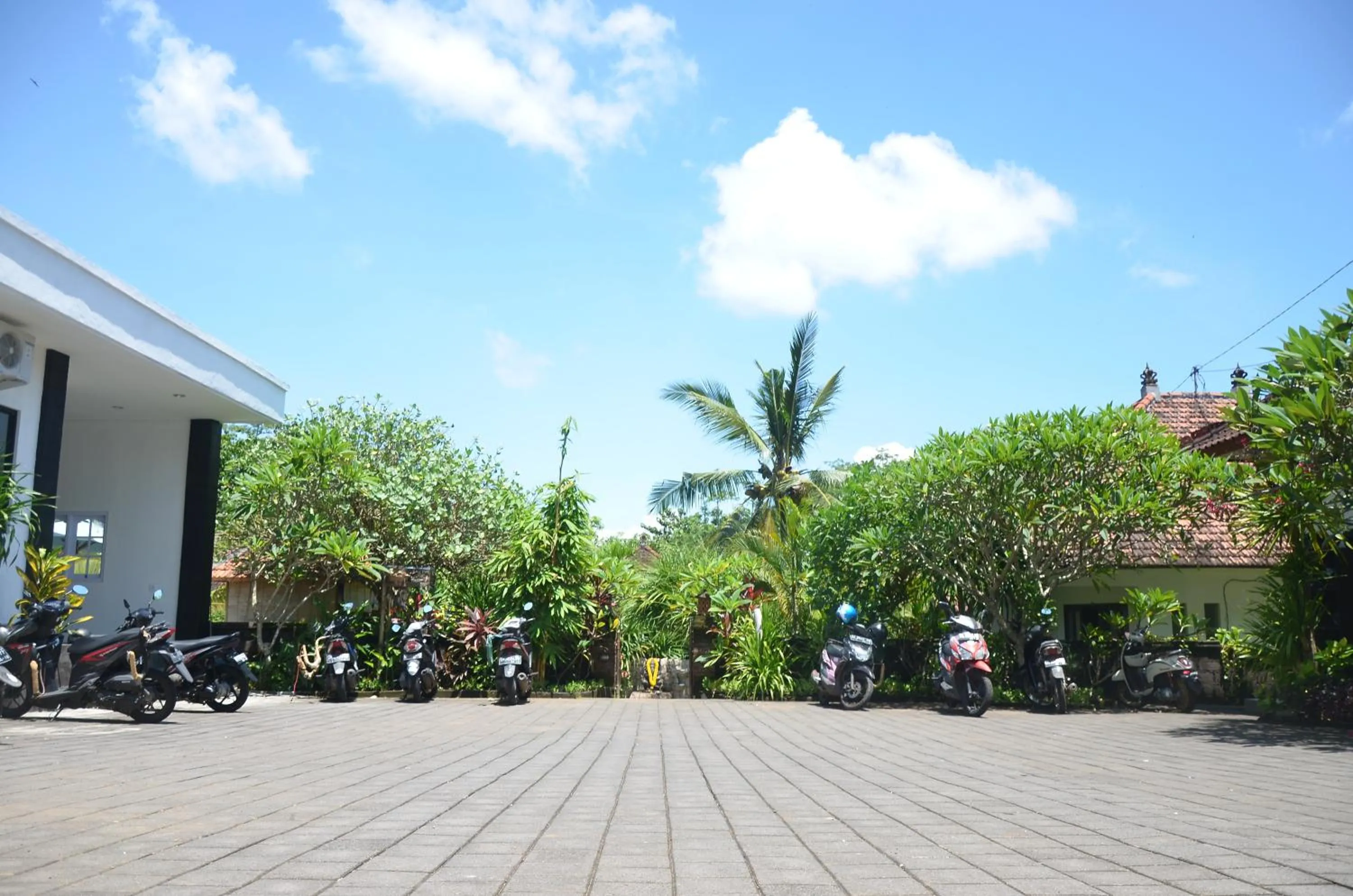 Medori Putih Homestay