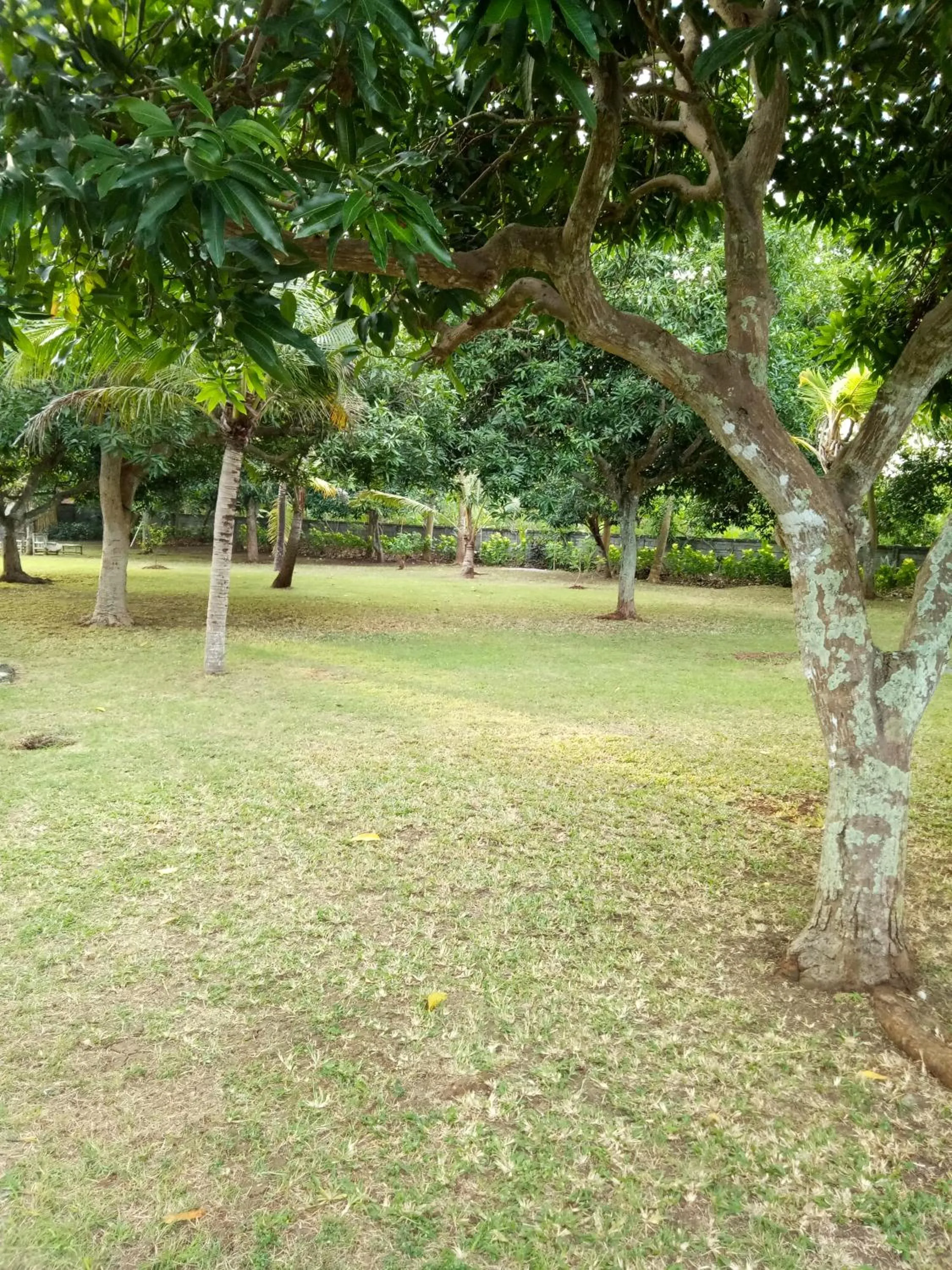 Medori Putih Homestay