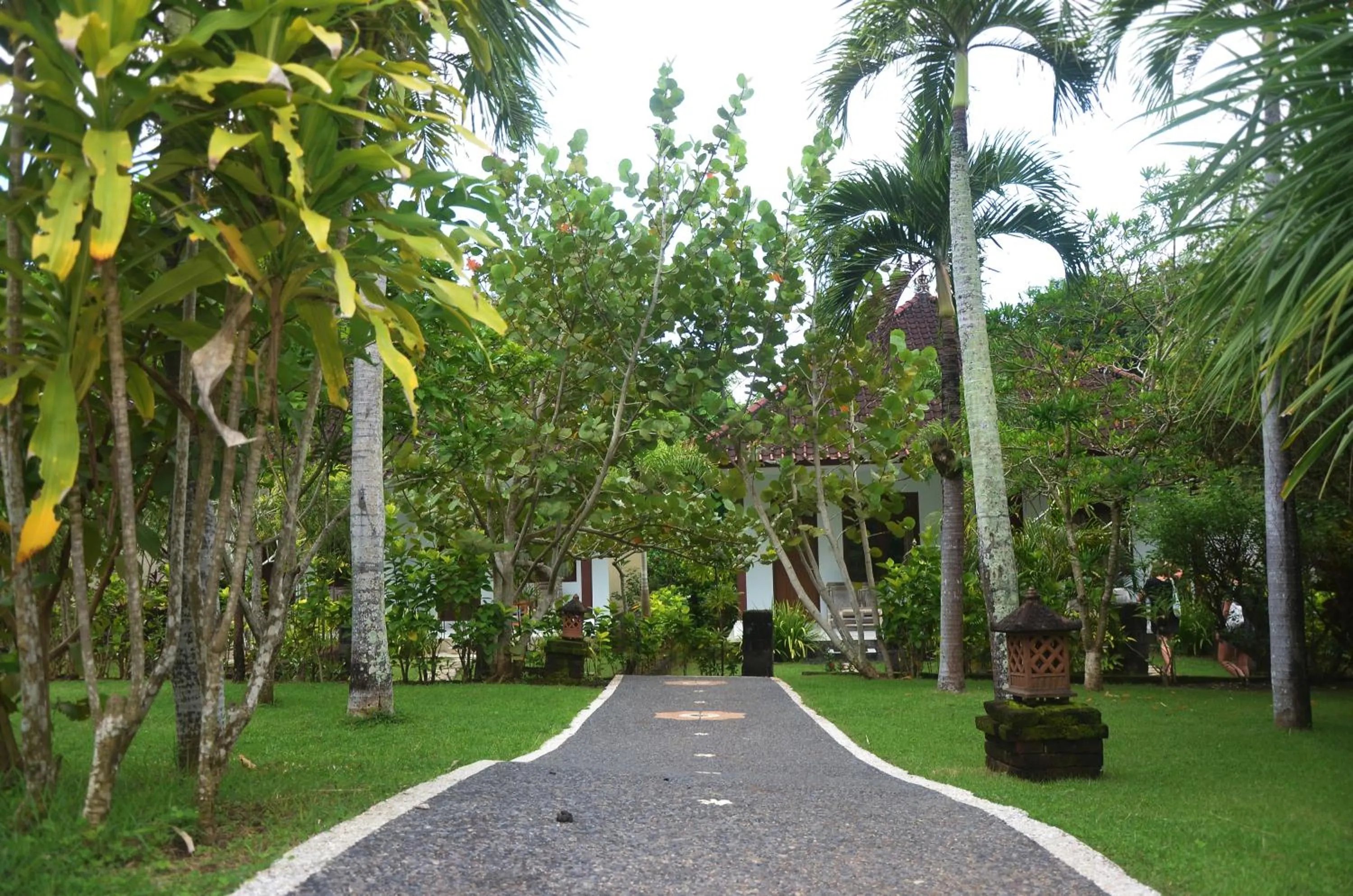 Medori Putih Homestay