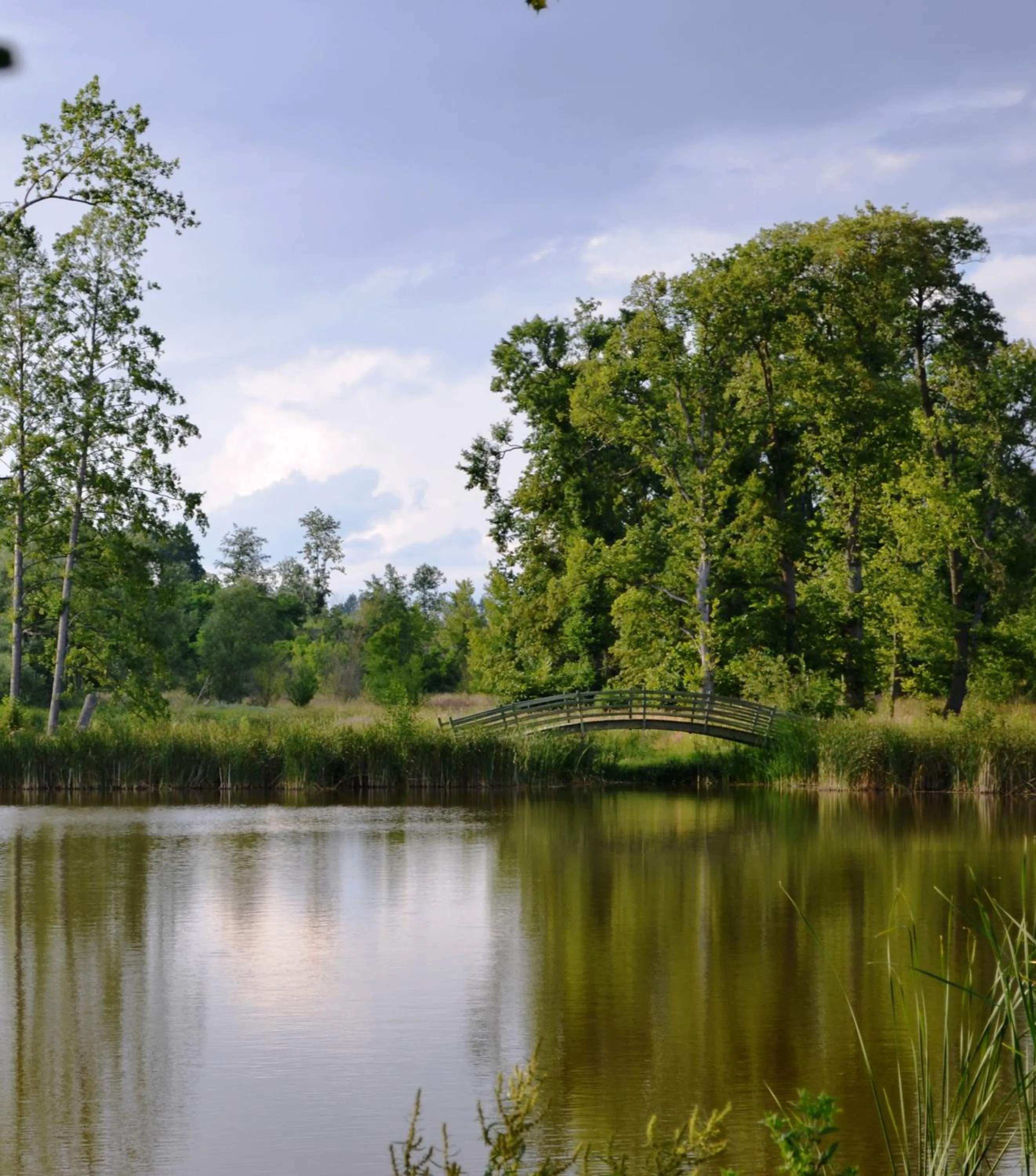 Spring in Pałac Komierowo