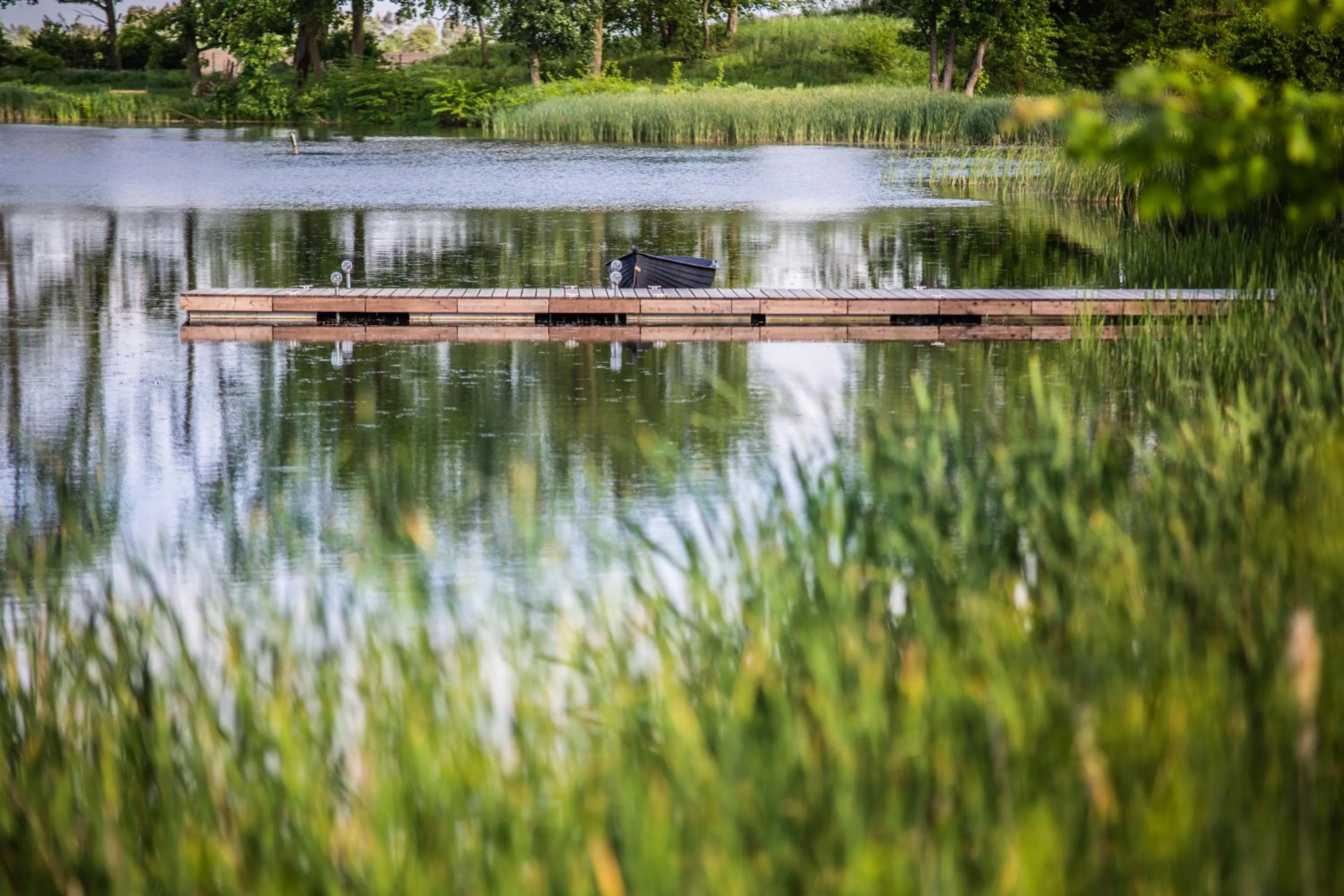 Garden in Pałac Komierowo