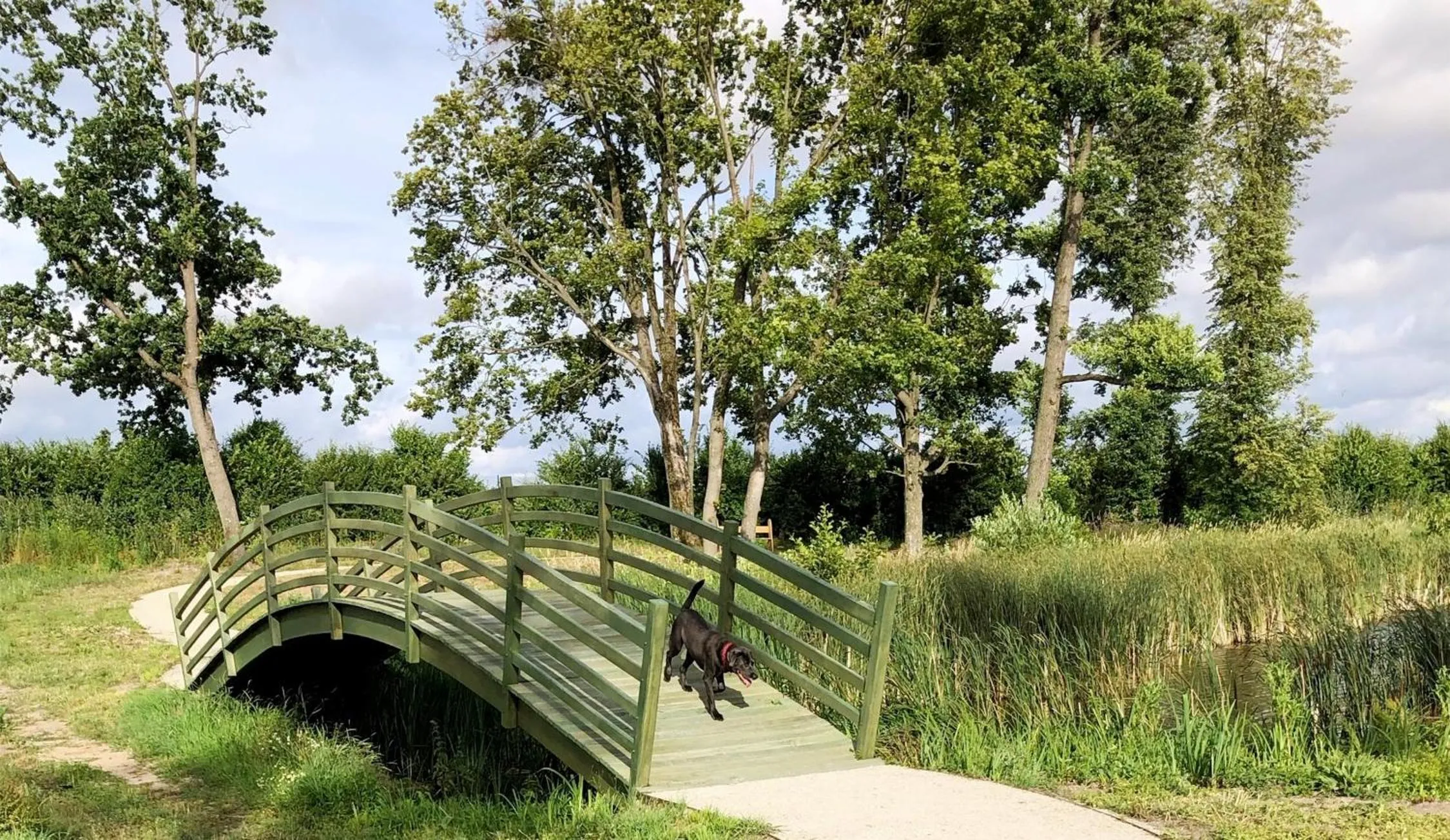 Spring in Pałac Komierowo