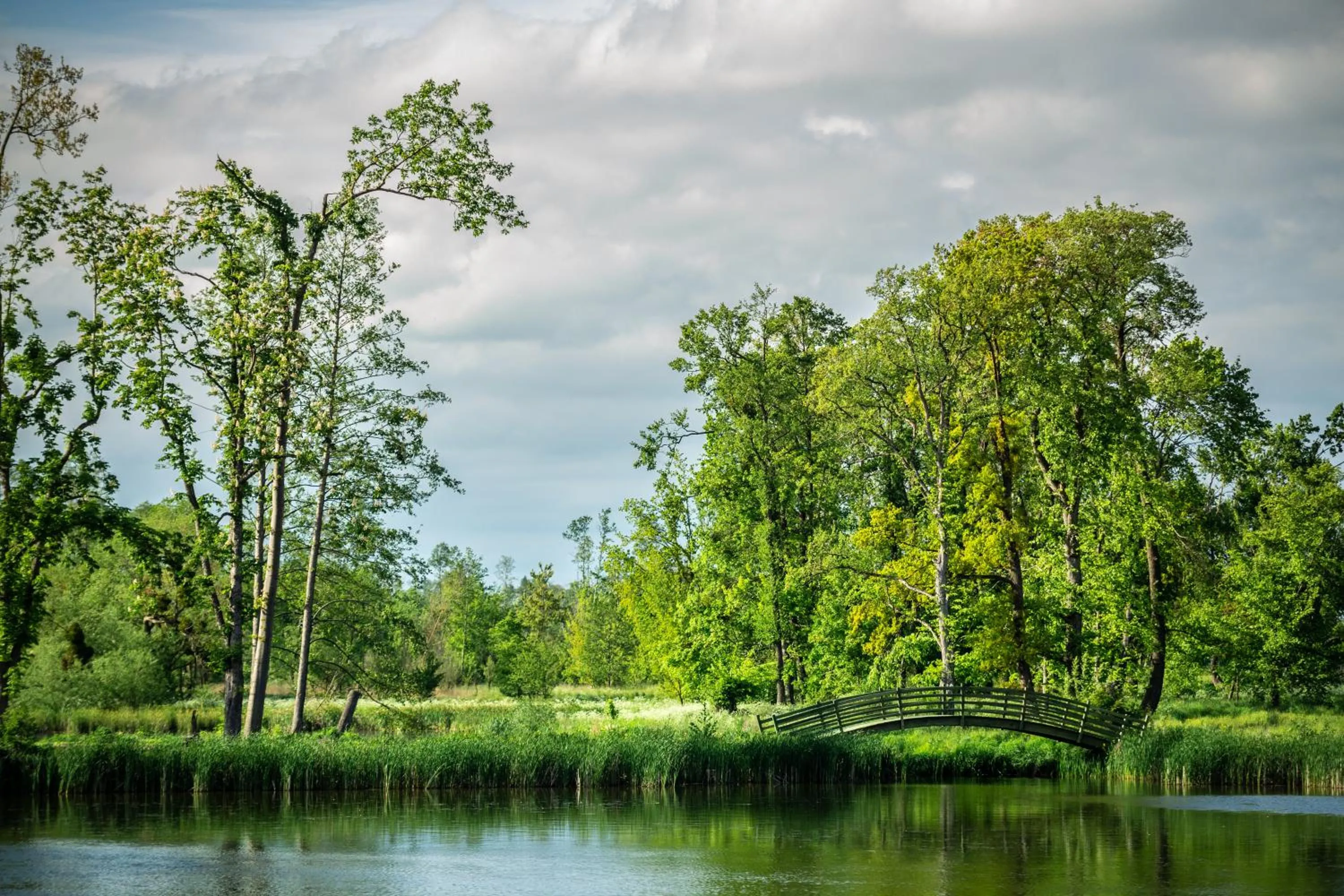 Spring in Pałac Komierowo