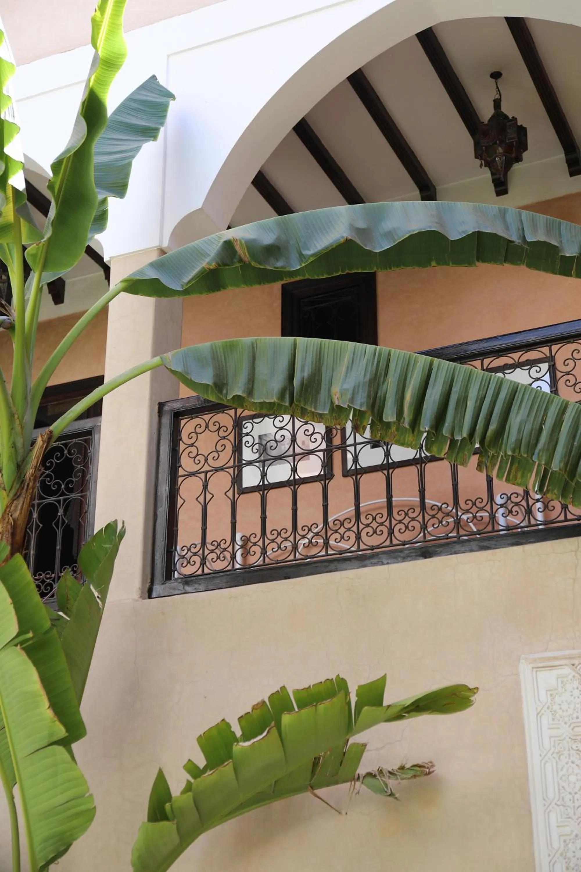 Patio in Riad l'Oiseau du Paradis