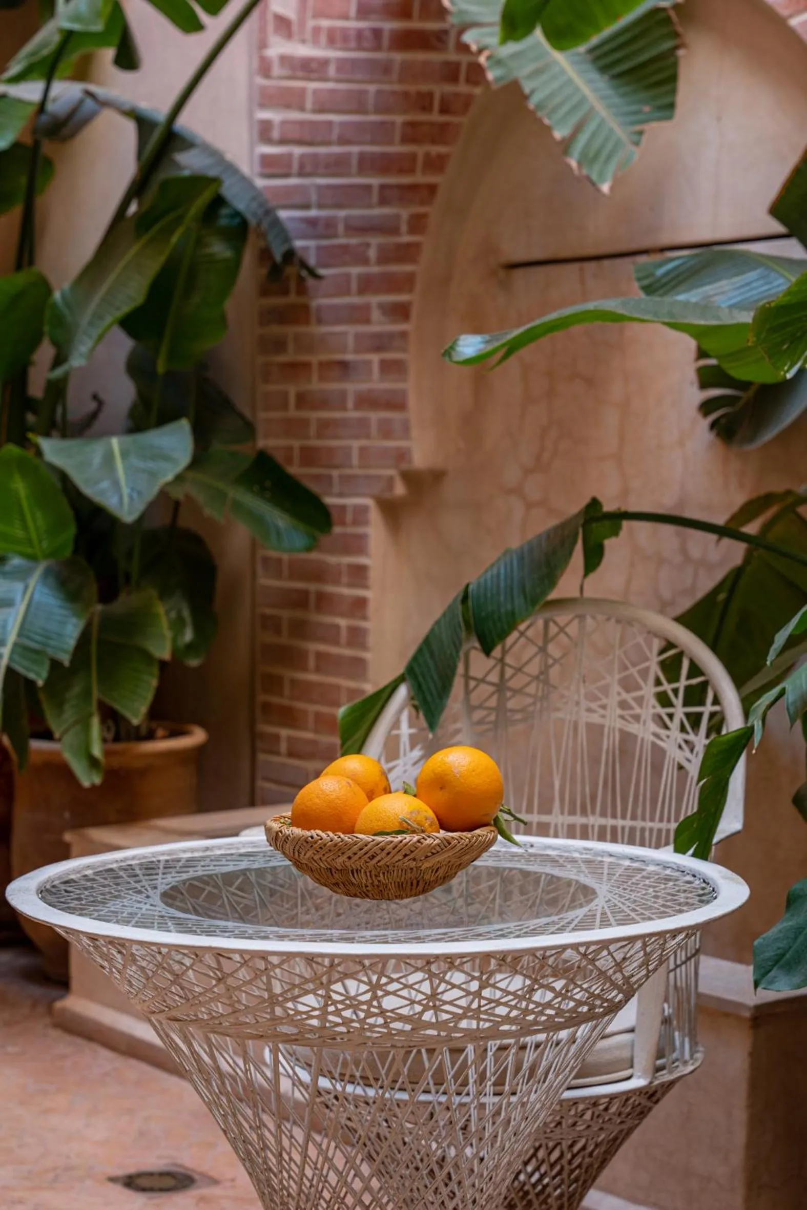 Patio in Riad l'Oiseau du Paradis