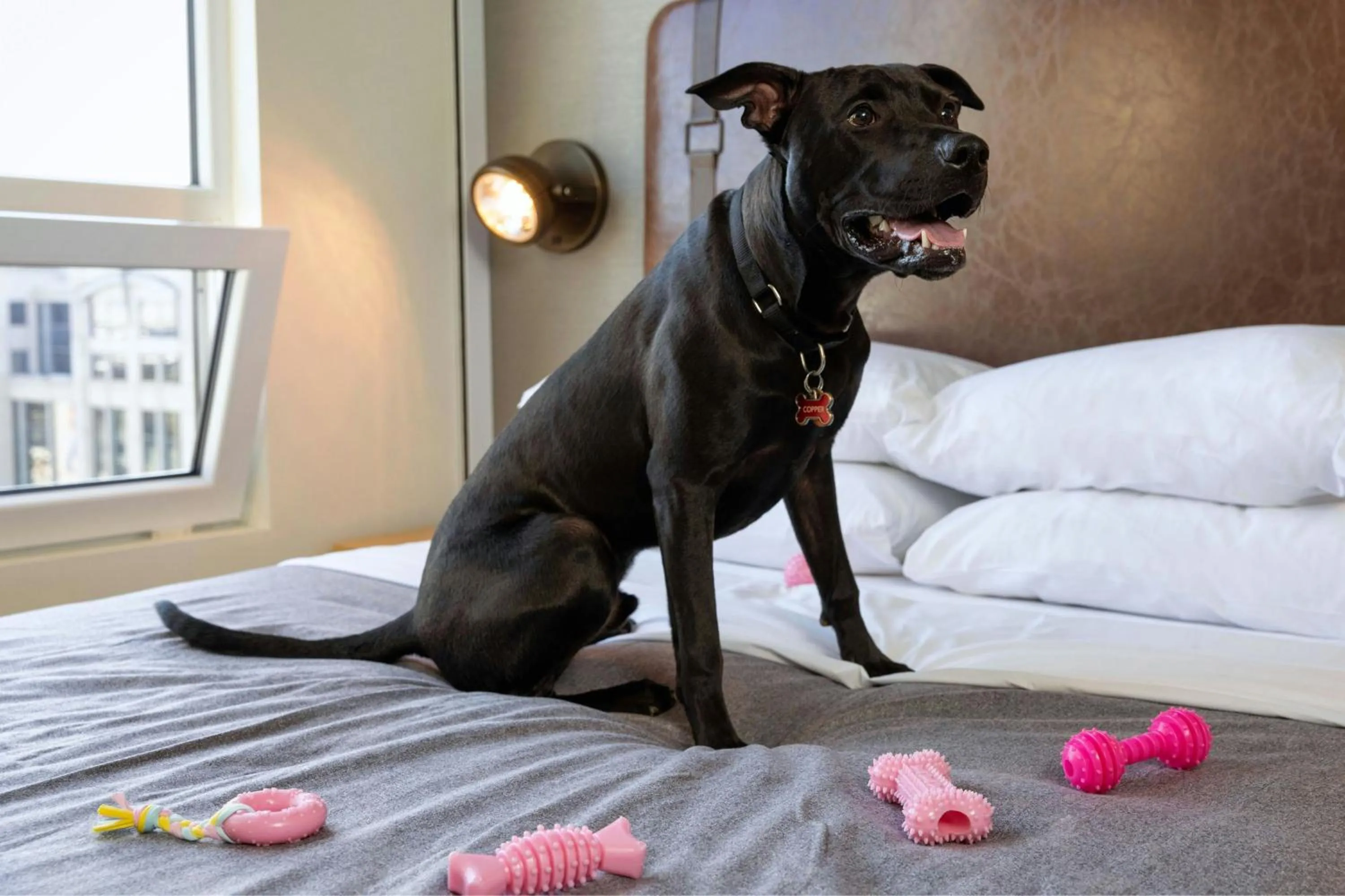 Other in Moxy Washington, DC Downtown