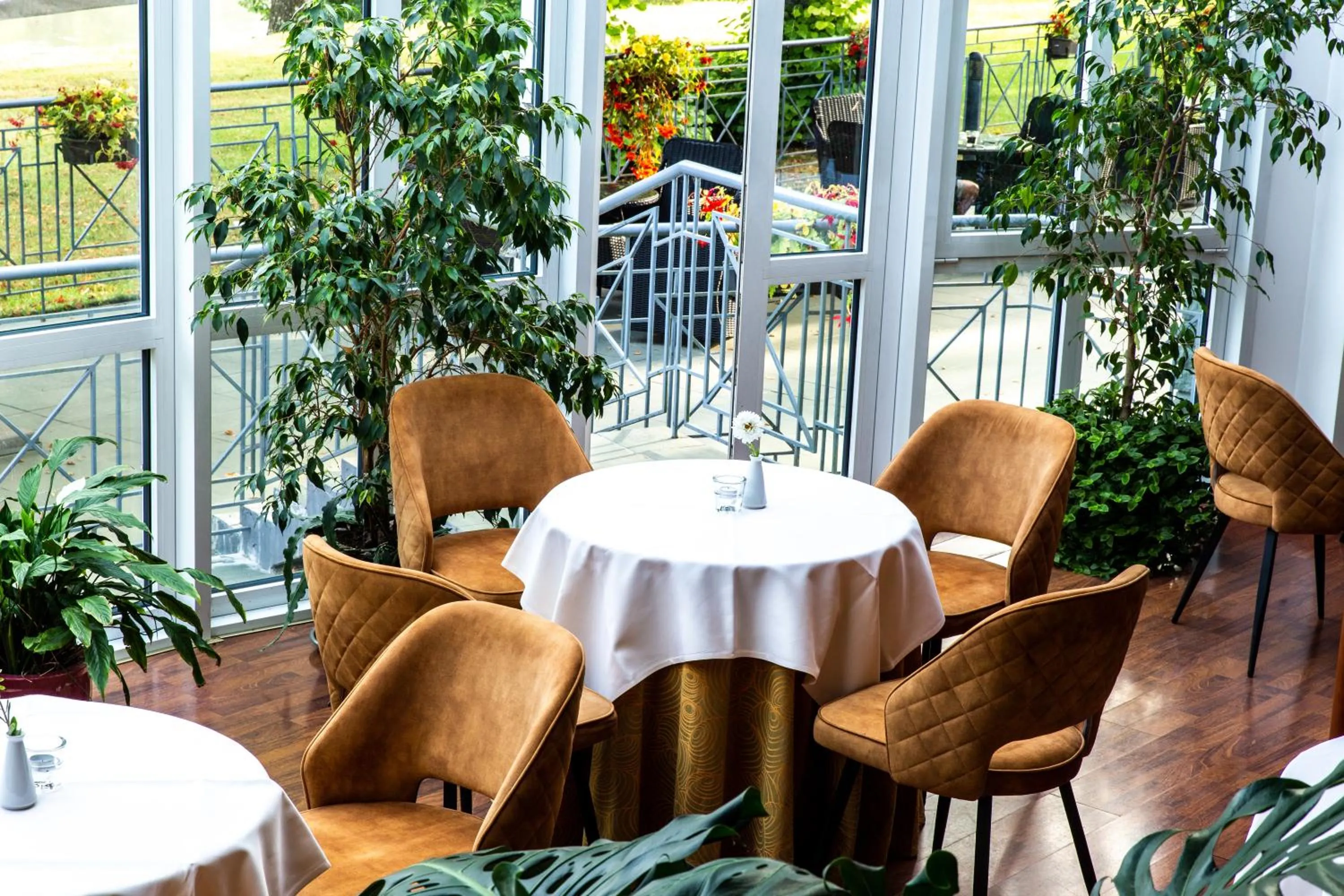 Restaurant/places to eat in Hotel Violeta