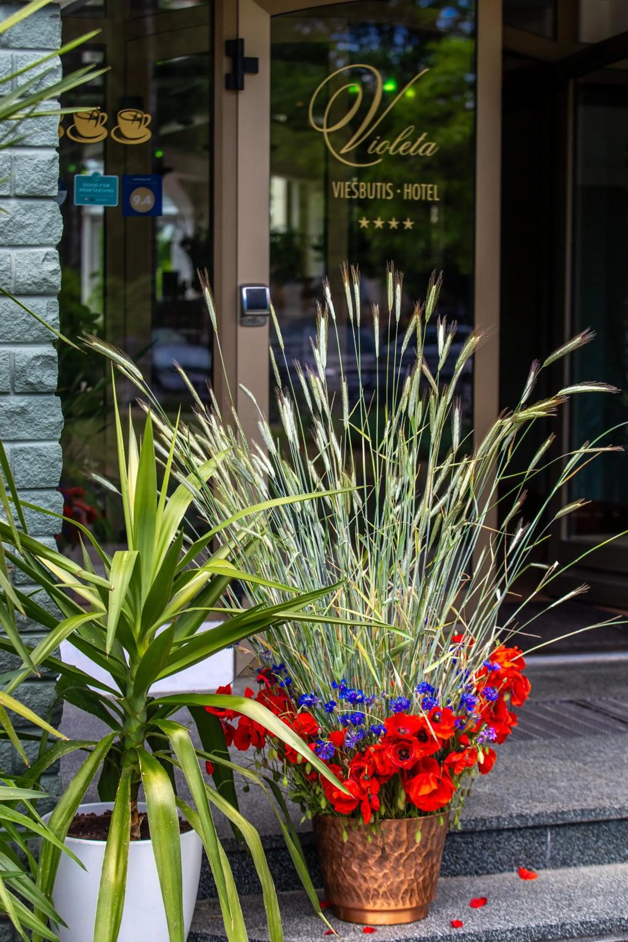 View (from property/room) in Hotel Violeta