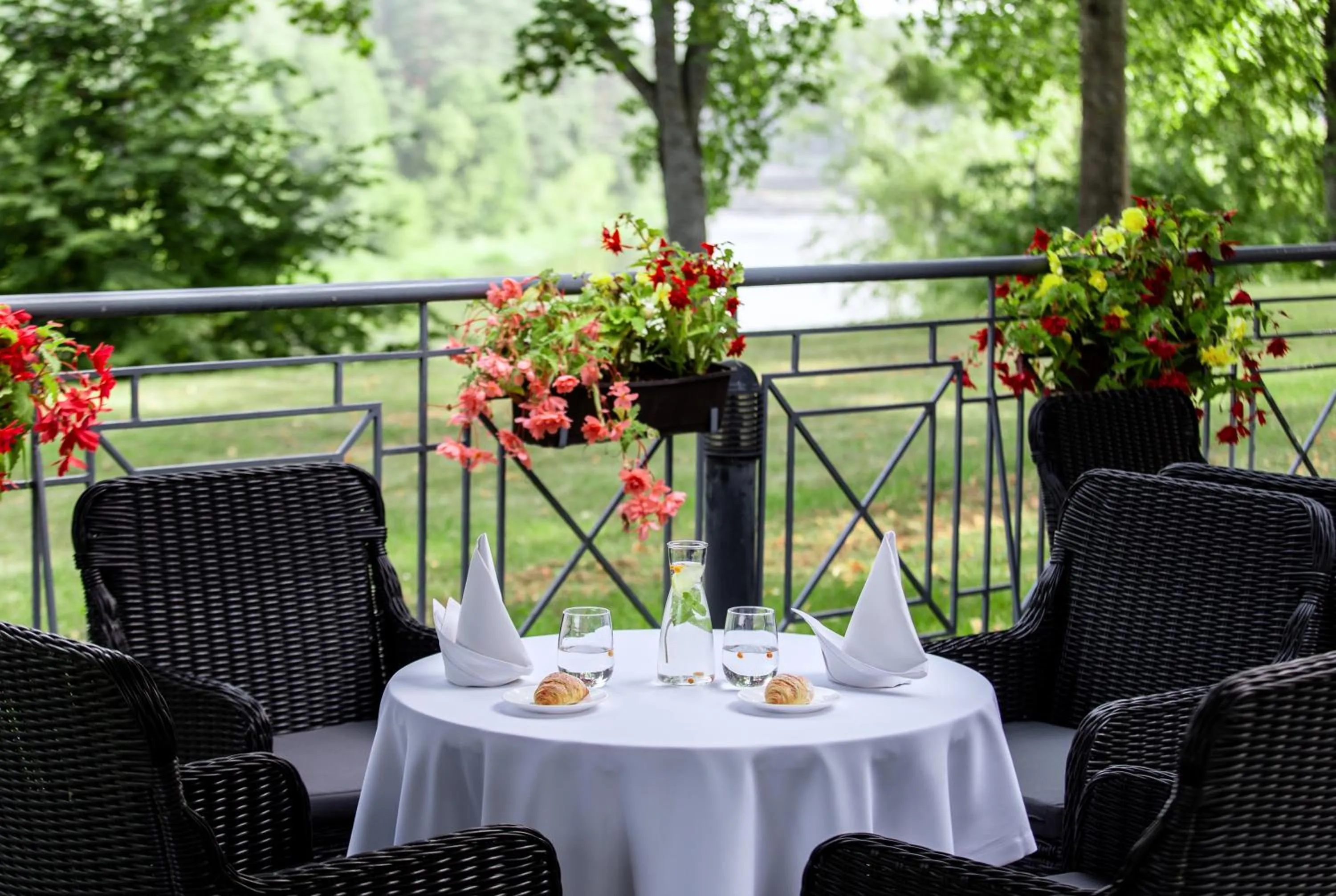 Natural landscape in Hotel Violeta