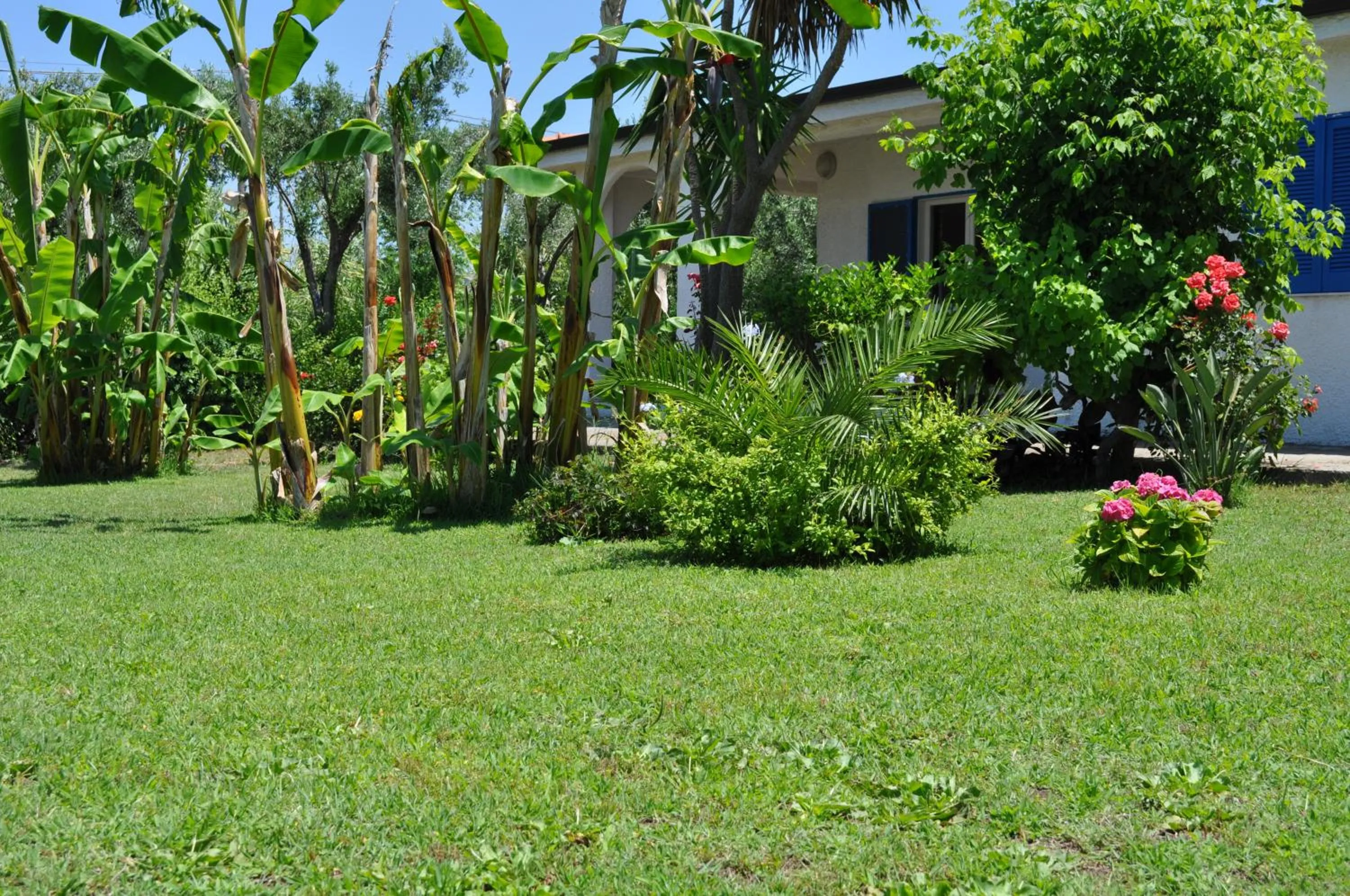 Day in TUISuneo La Conchiglia - Adults Only