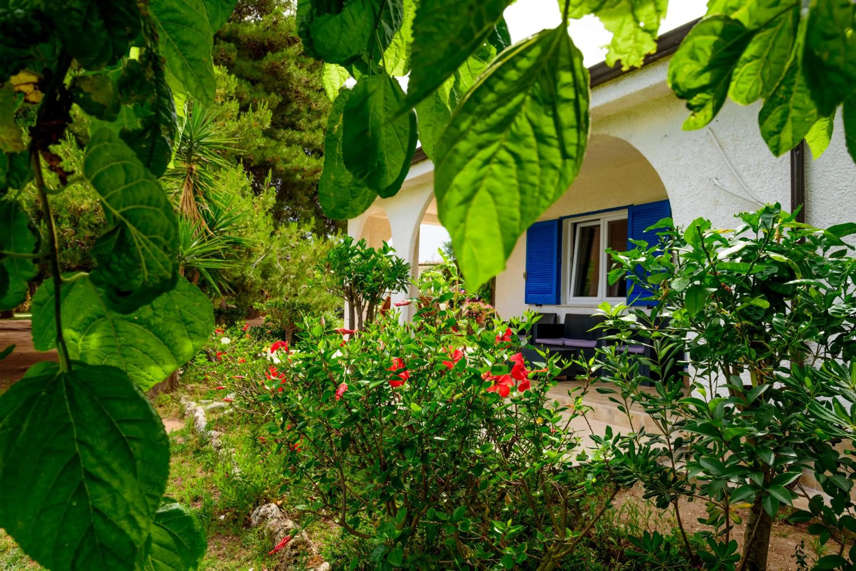 Garden in TUISuneo La Conchiglia - Adults Only