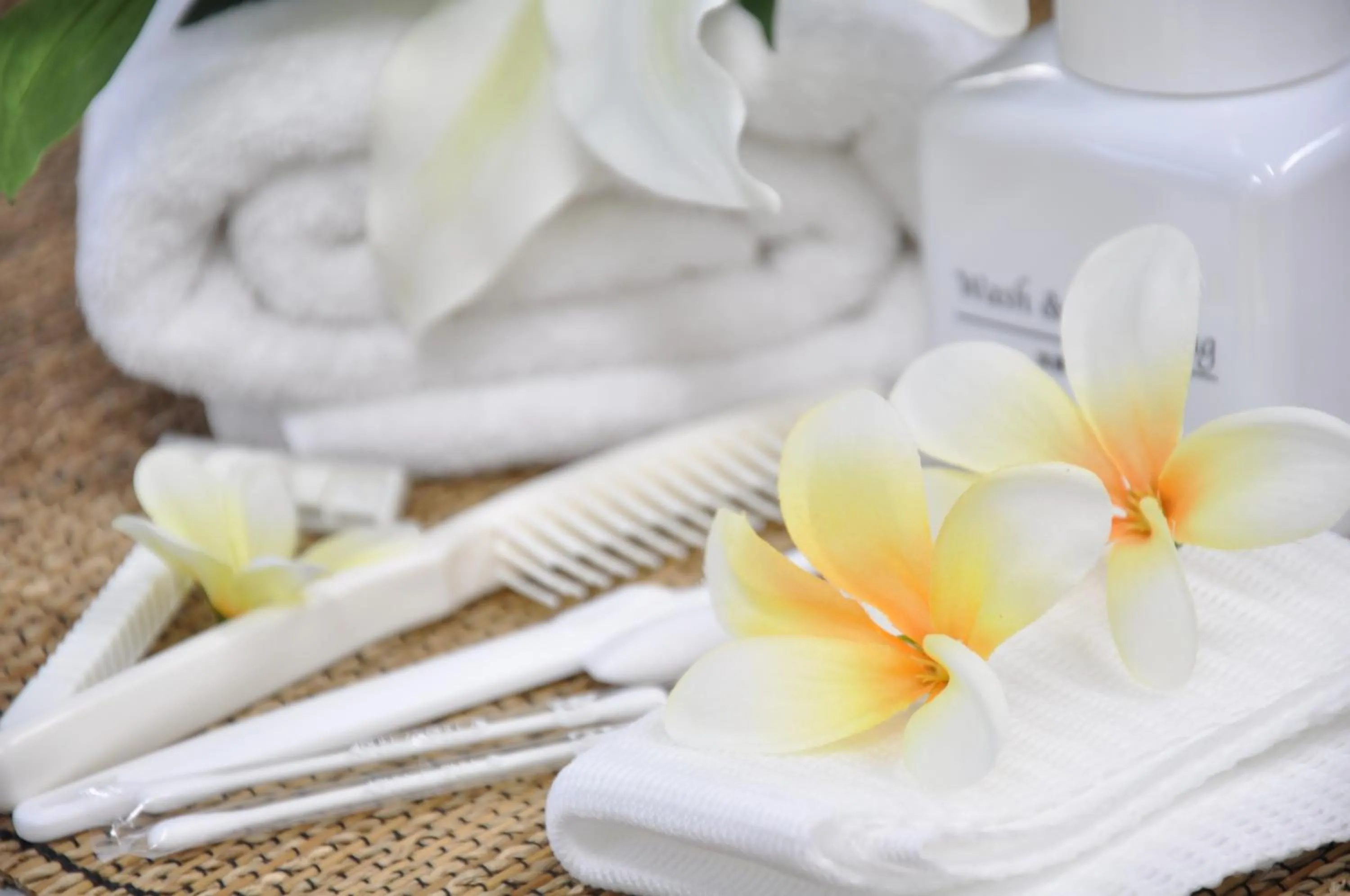 Activities in Hotel Noah