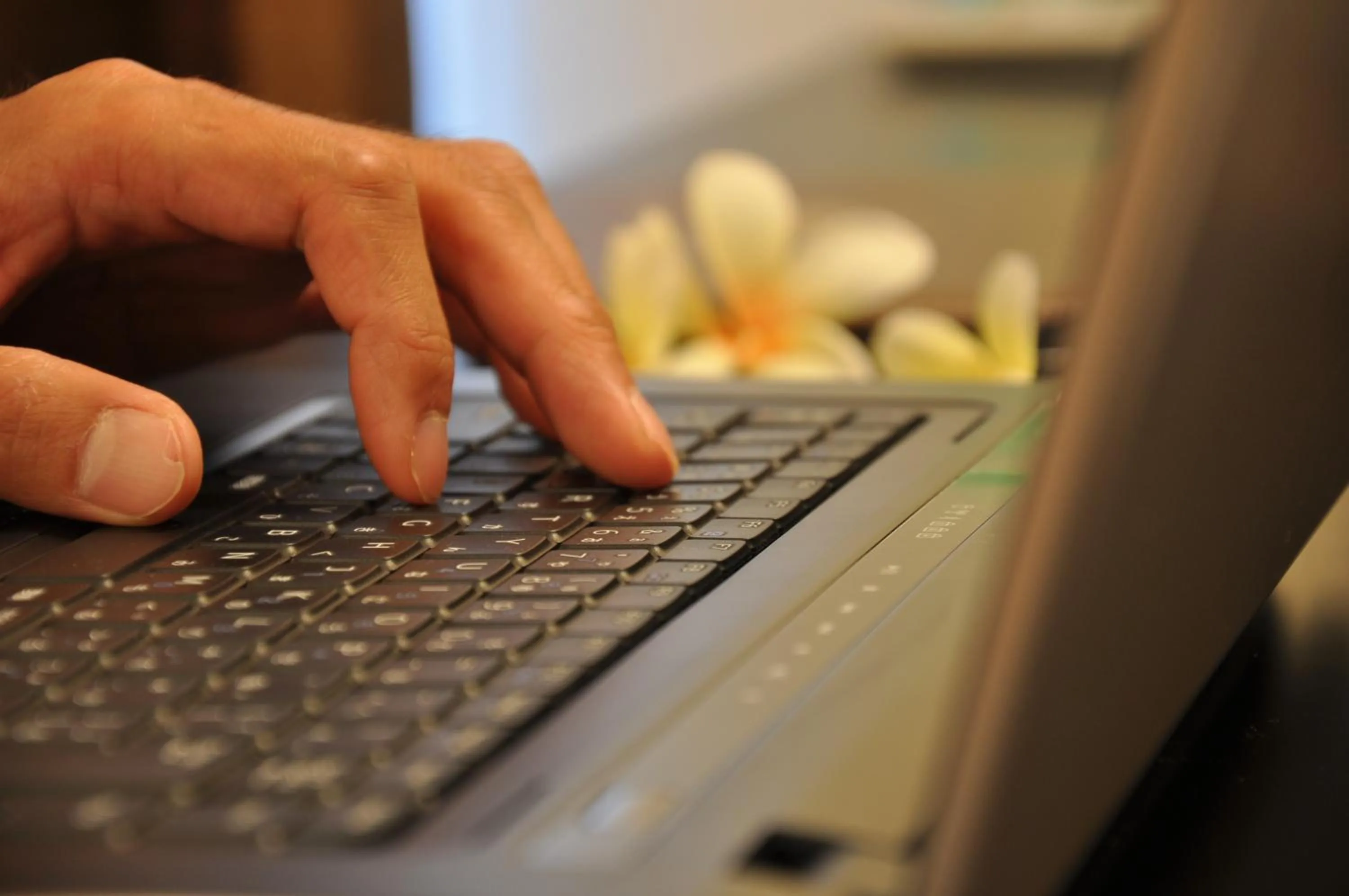 Decorative detail in Hotel Noah