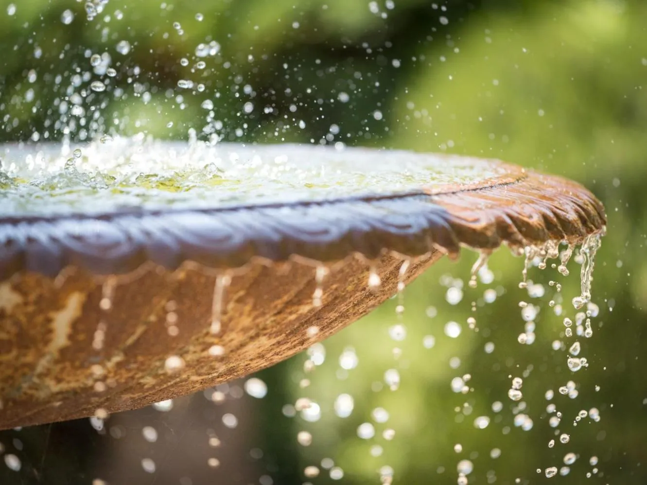 Property building in Manoir Desnachez