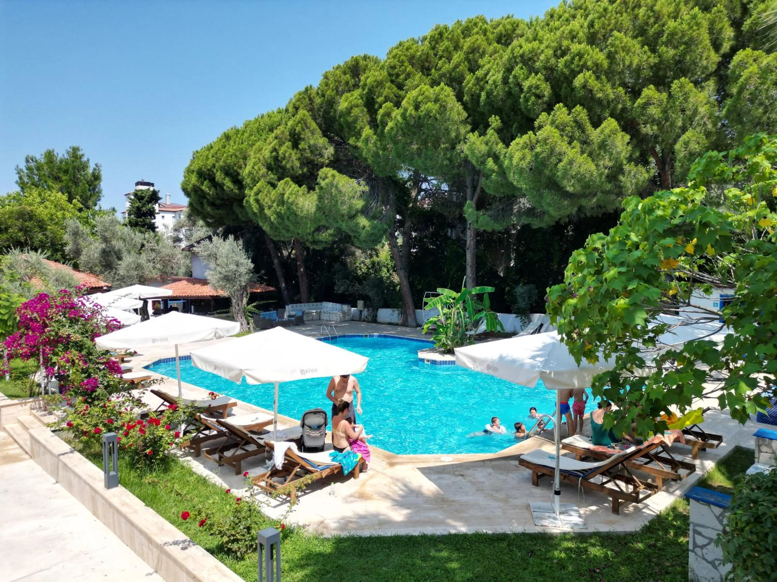 Pool view in Risus Garden Marina Hotel