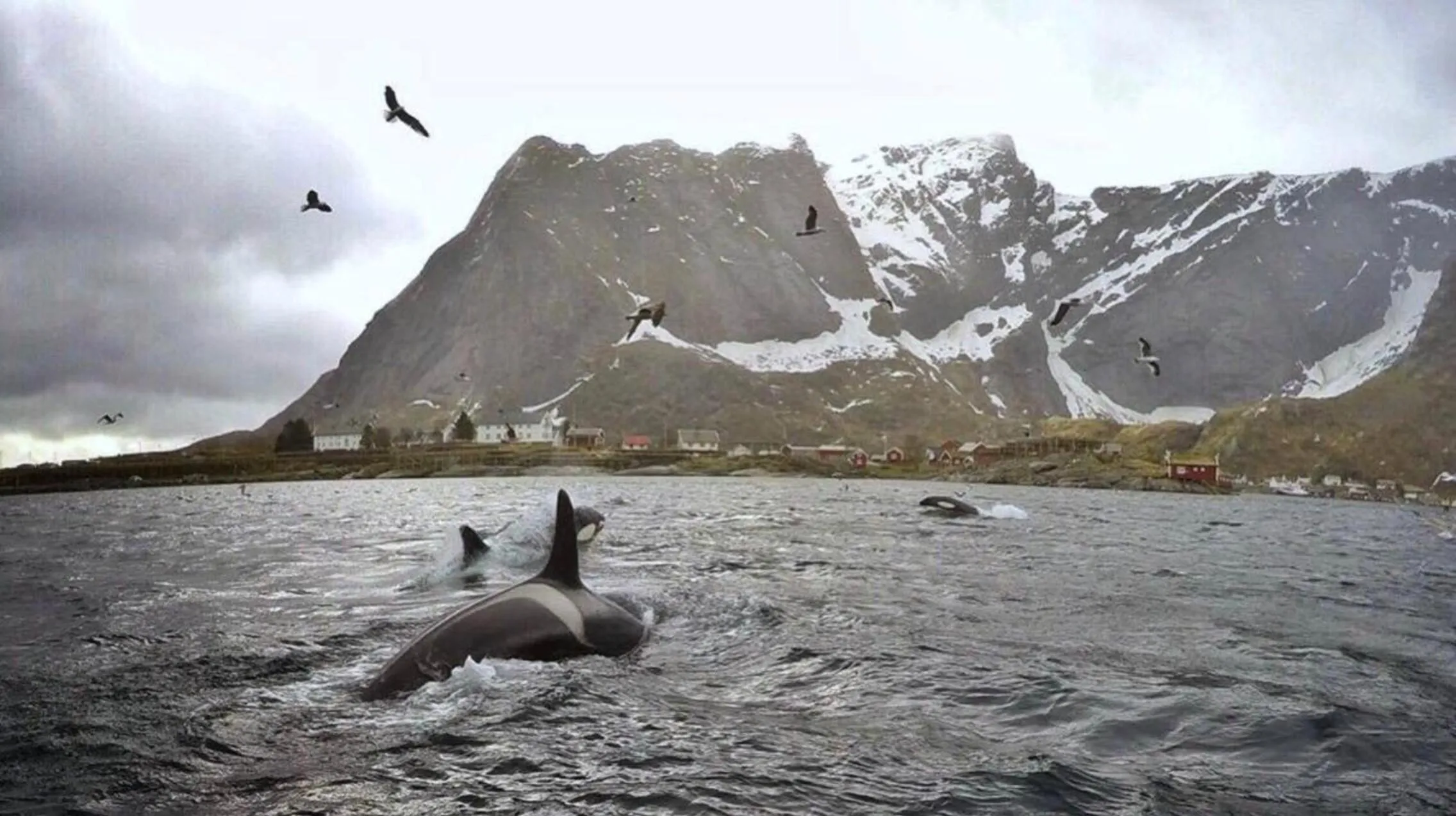 Catogården - Boutique Home & Activity Centre
