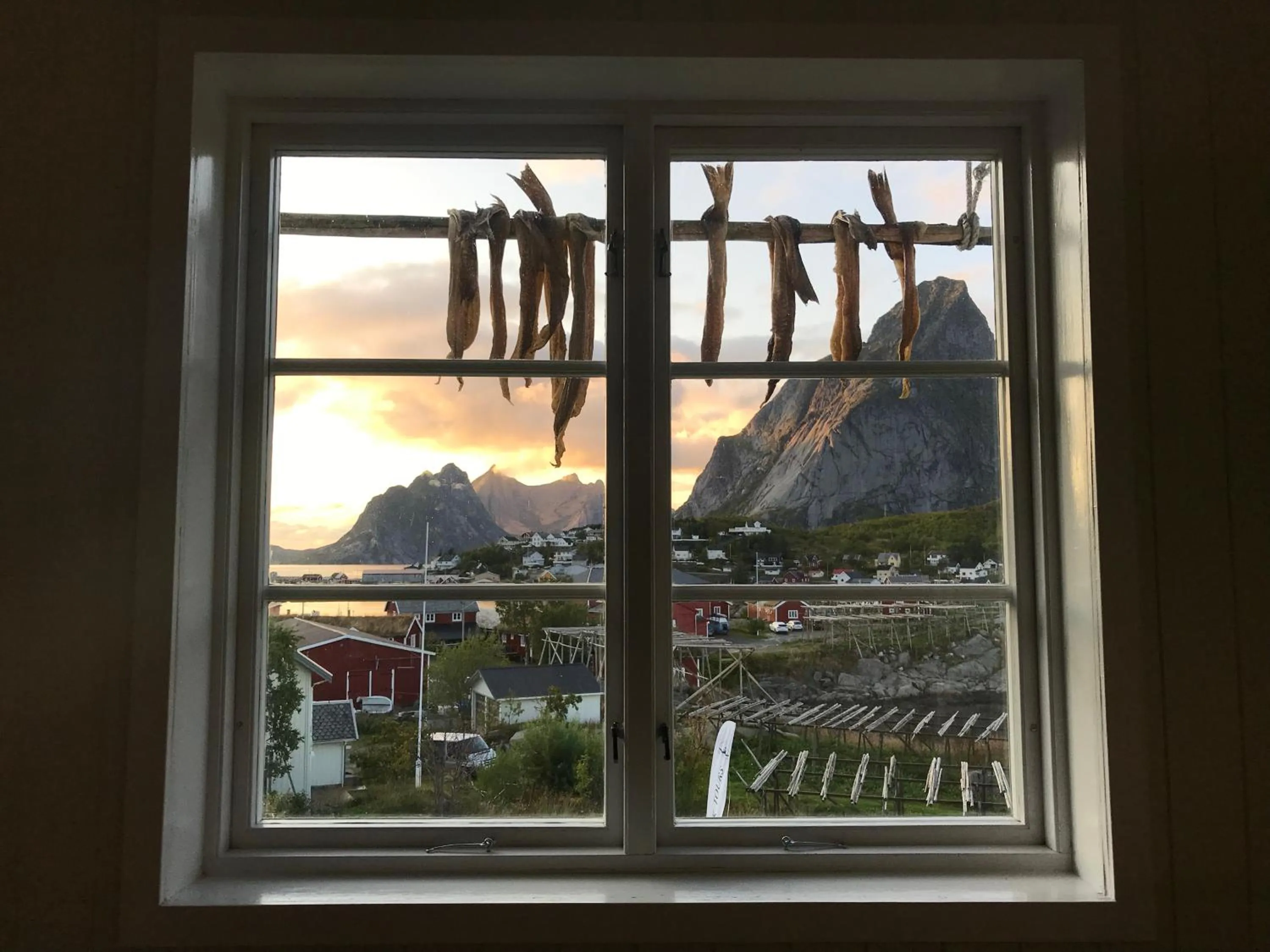 Catogården - Boutique Home & Activity Centre