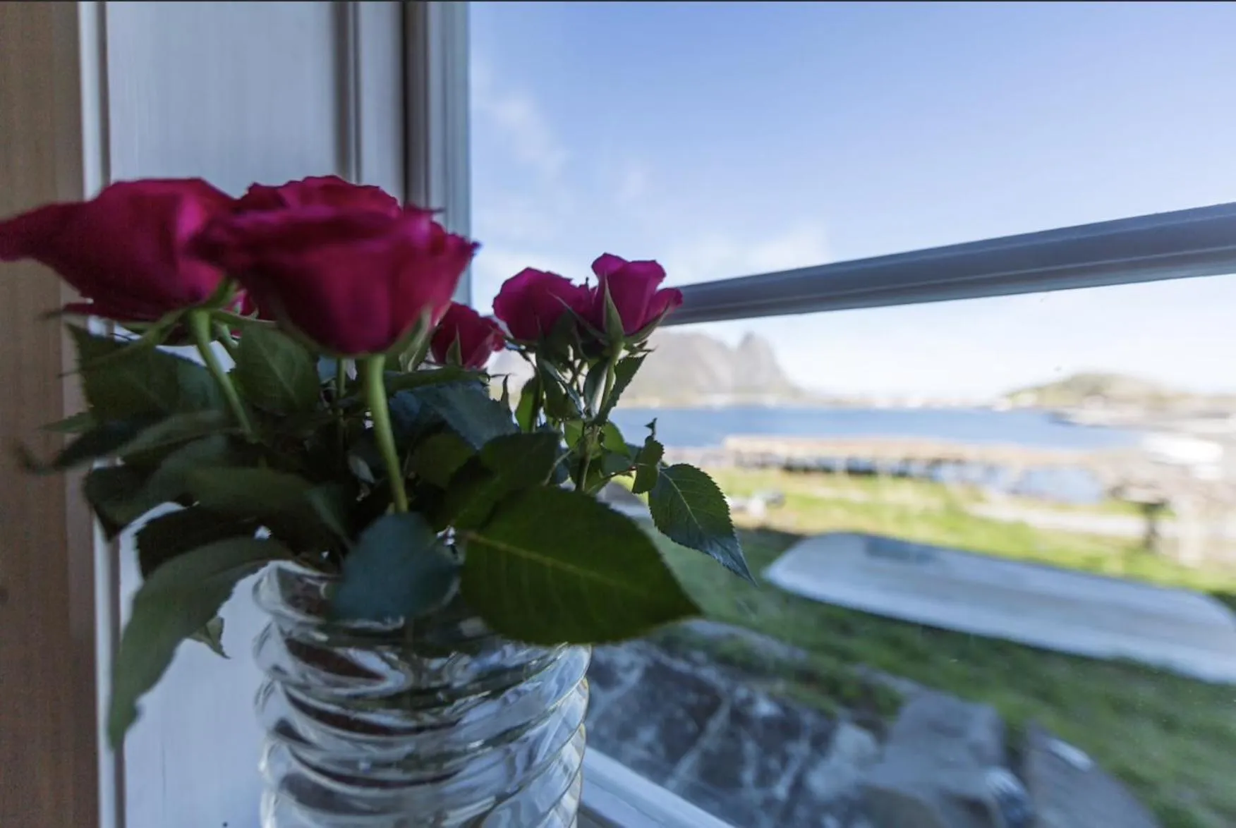 Catogården - Boutique Home & Activity Centre