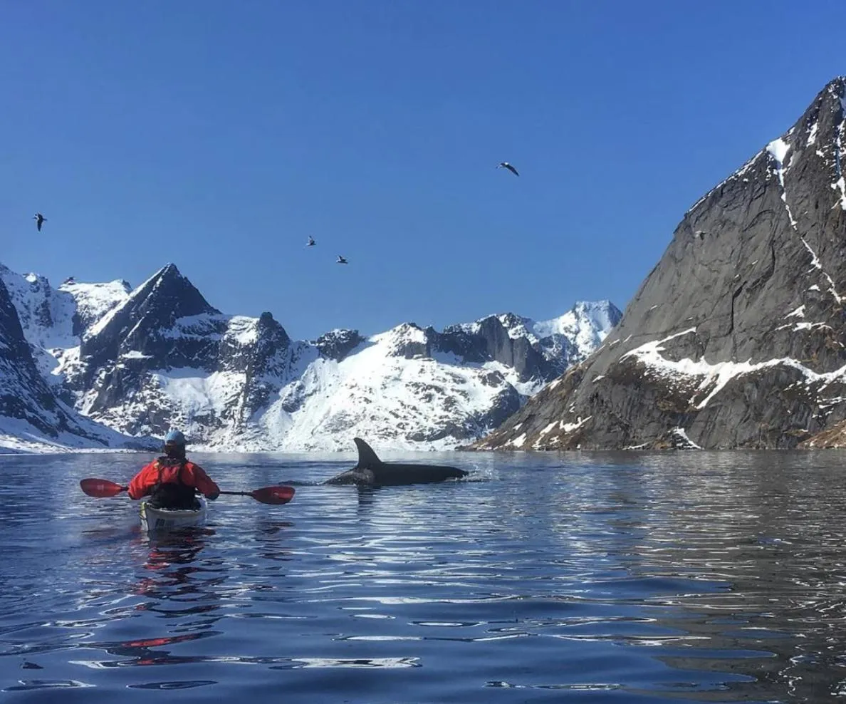 Catogården - Boutique Home & Activity Centre