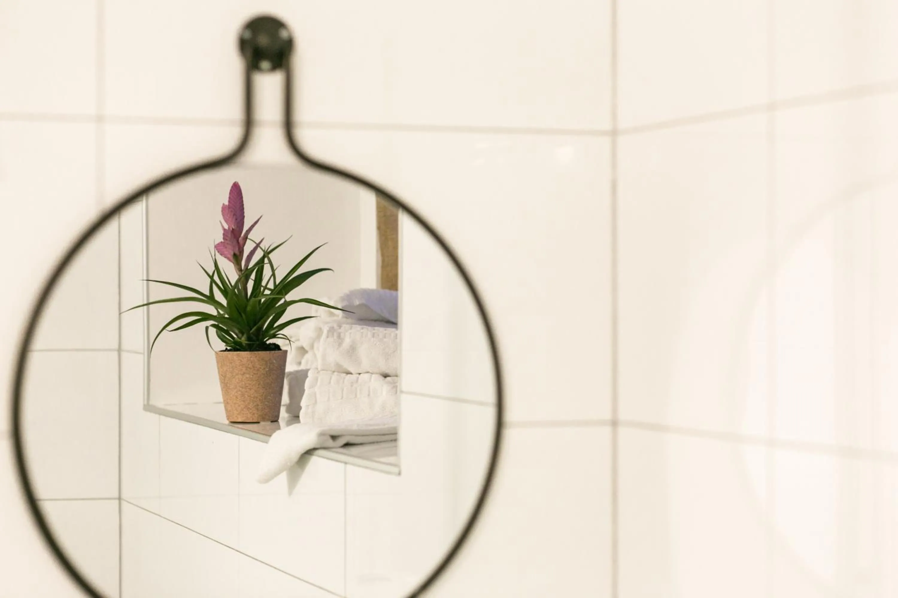 Shower in Catogården - Boutique Home & Activity Centre